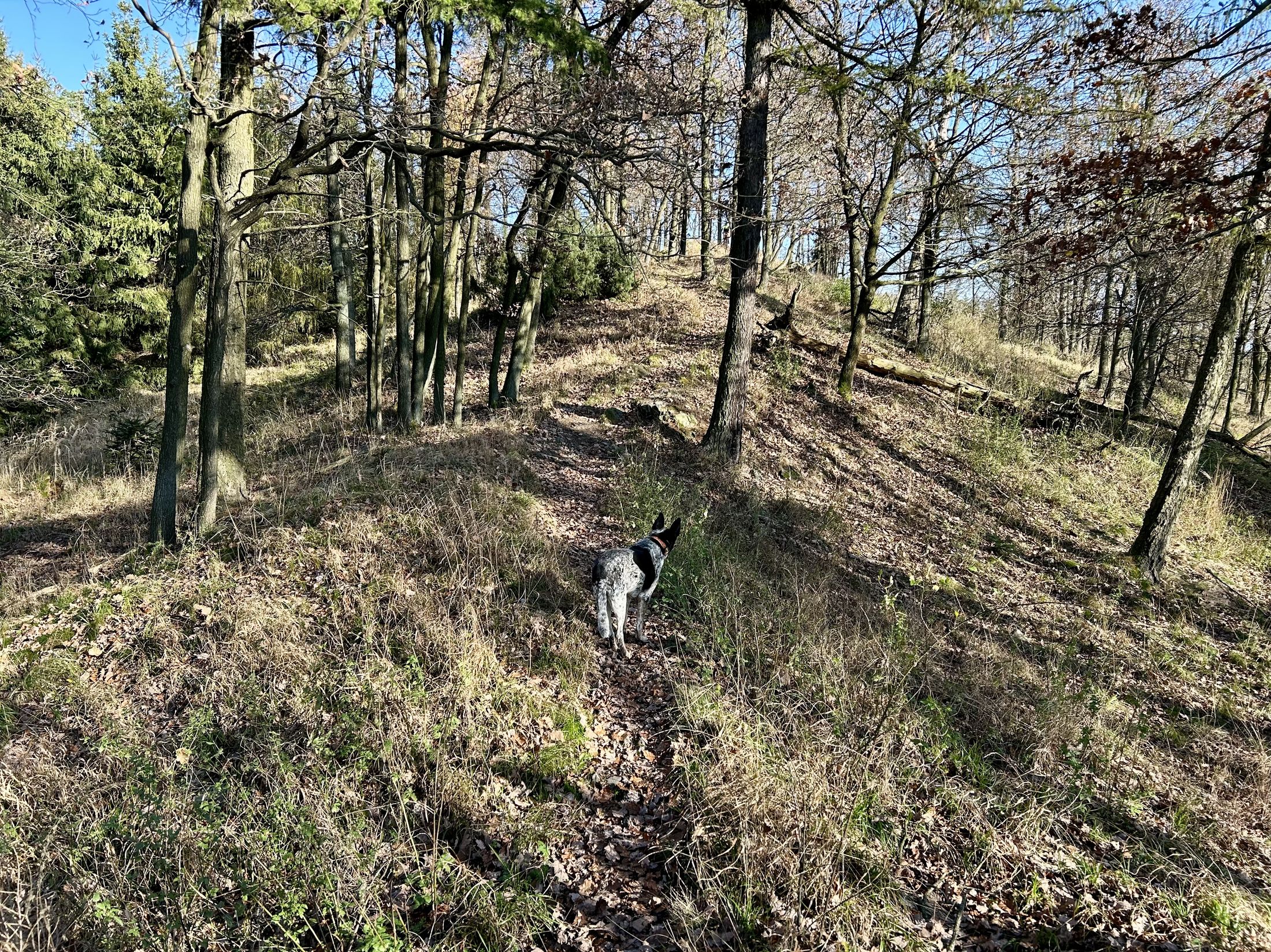 Łysa Góra Masyw Ślęży