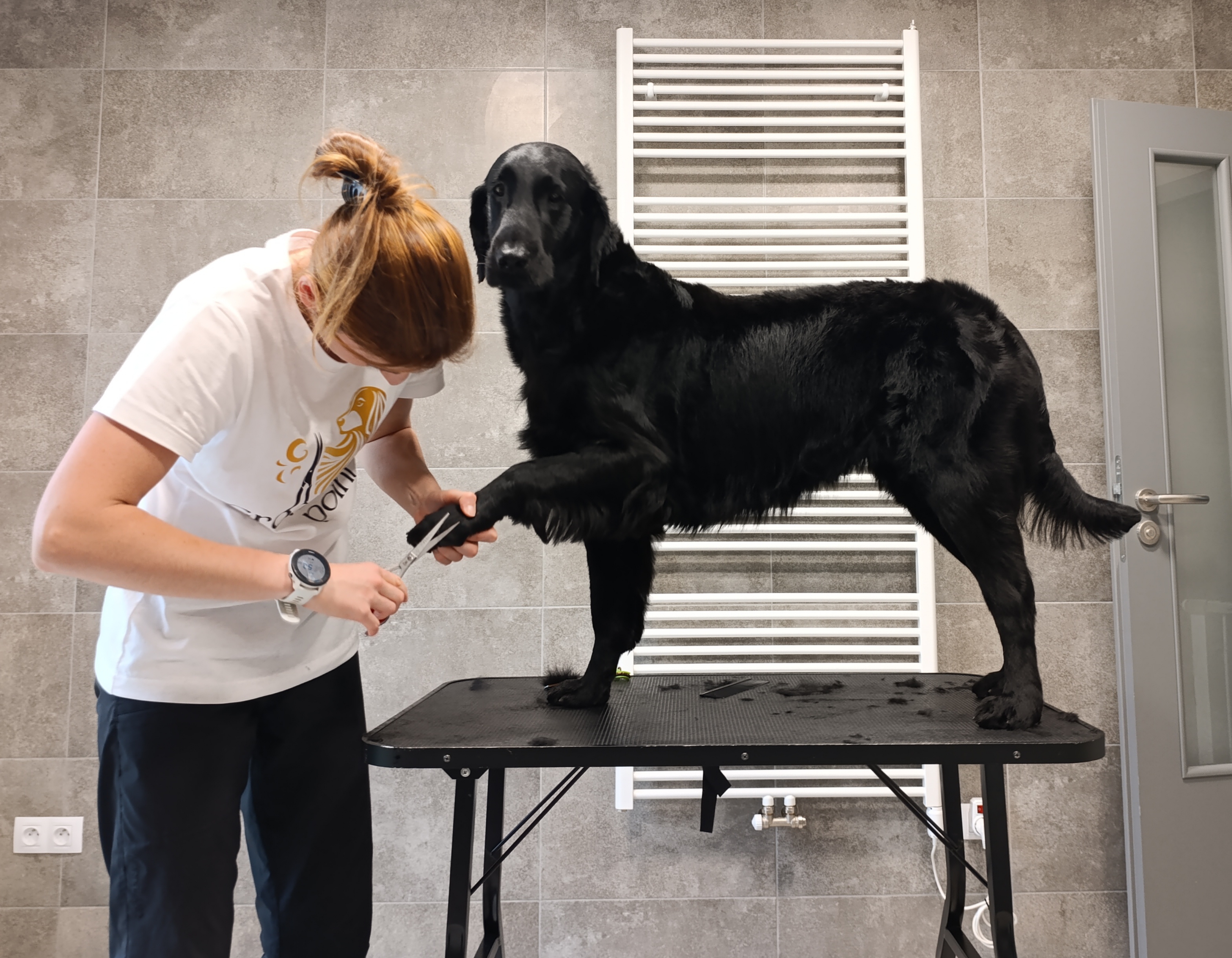 Grooming point foto 6