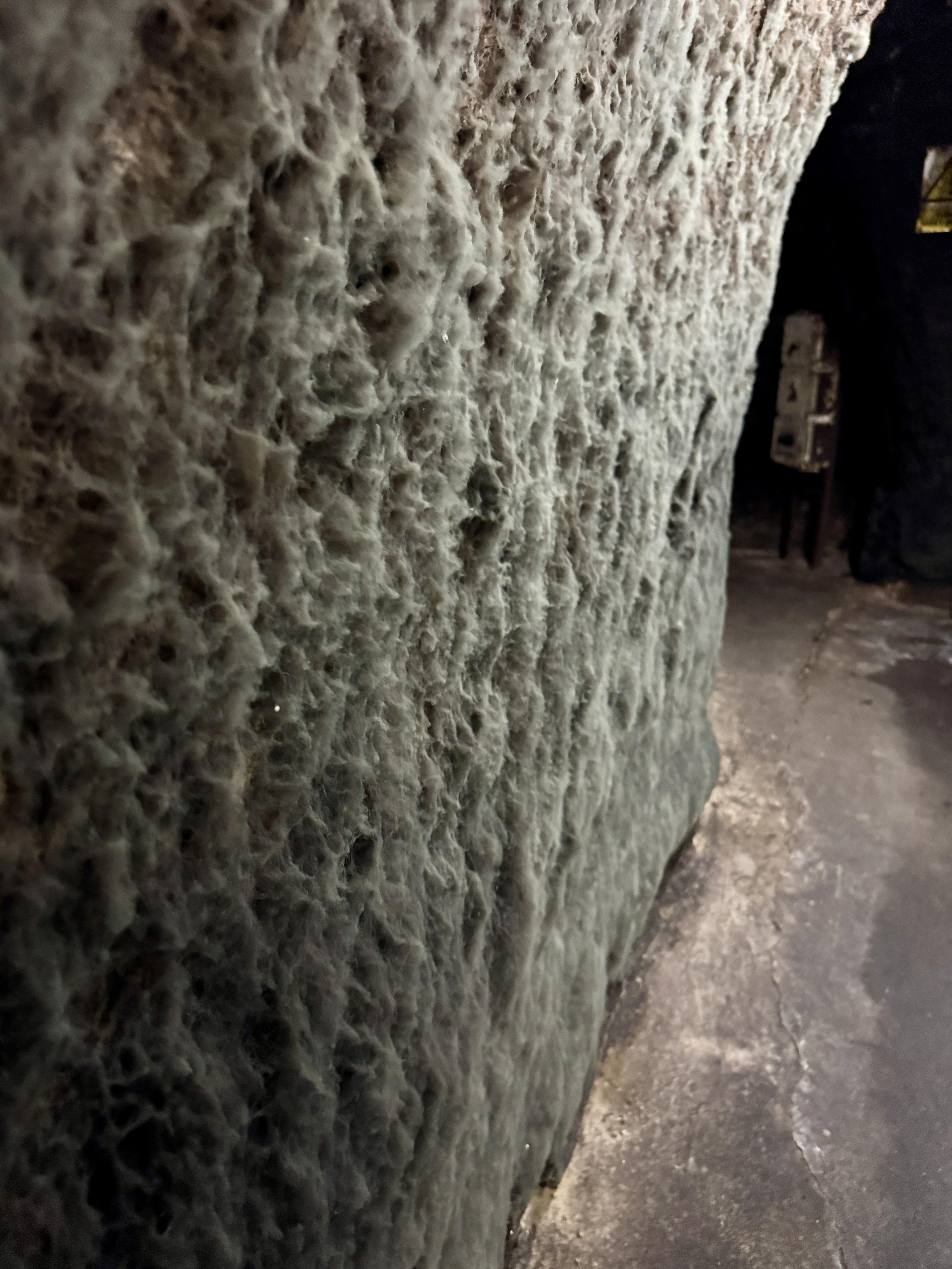 Vinařství Modrý sklep foto 4