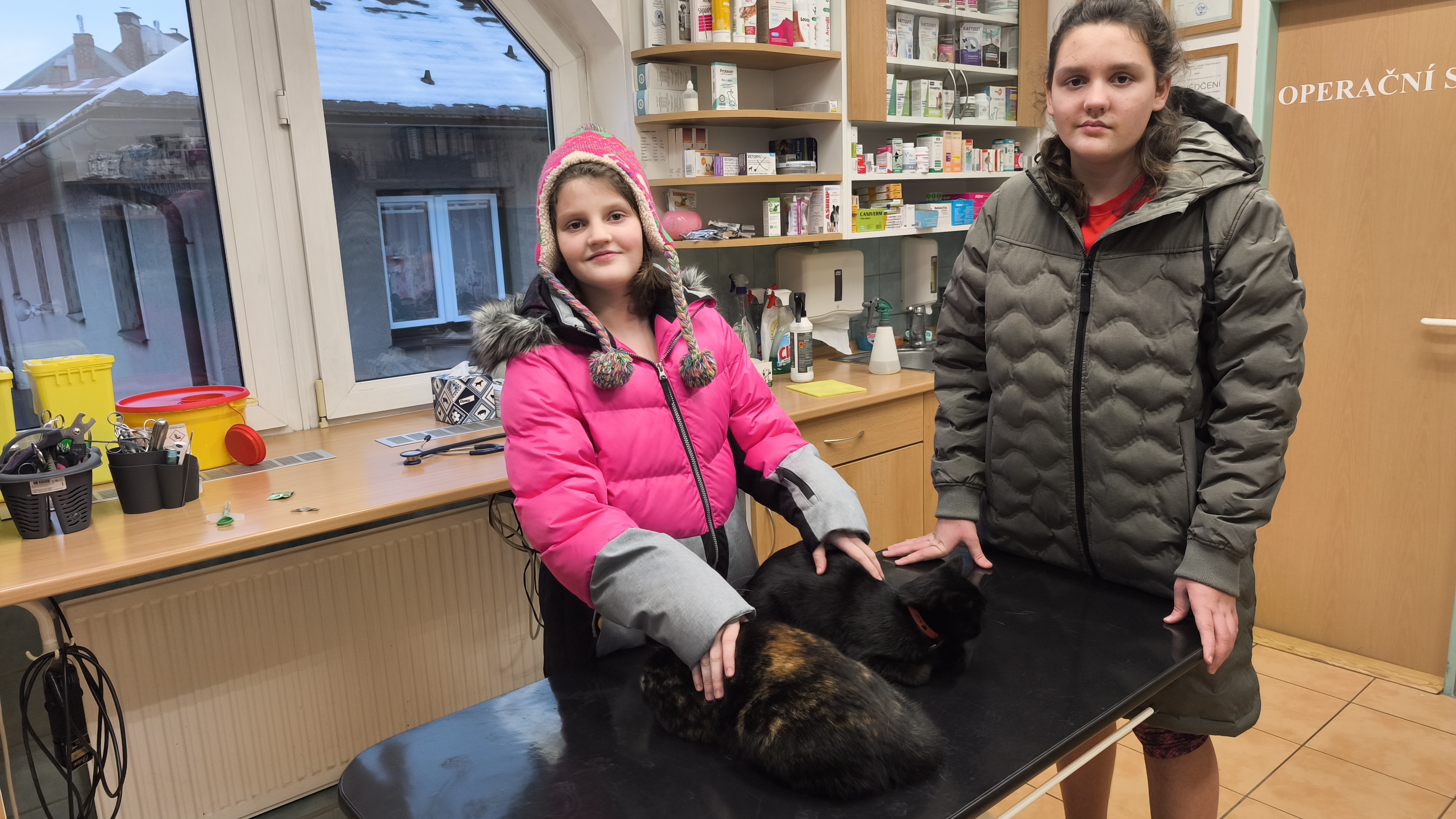 Veterinární klinika VETCARE - MVDr. Tomáš Drda foto 5