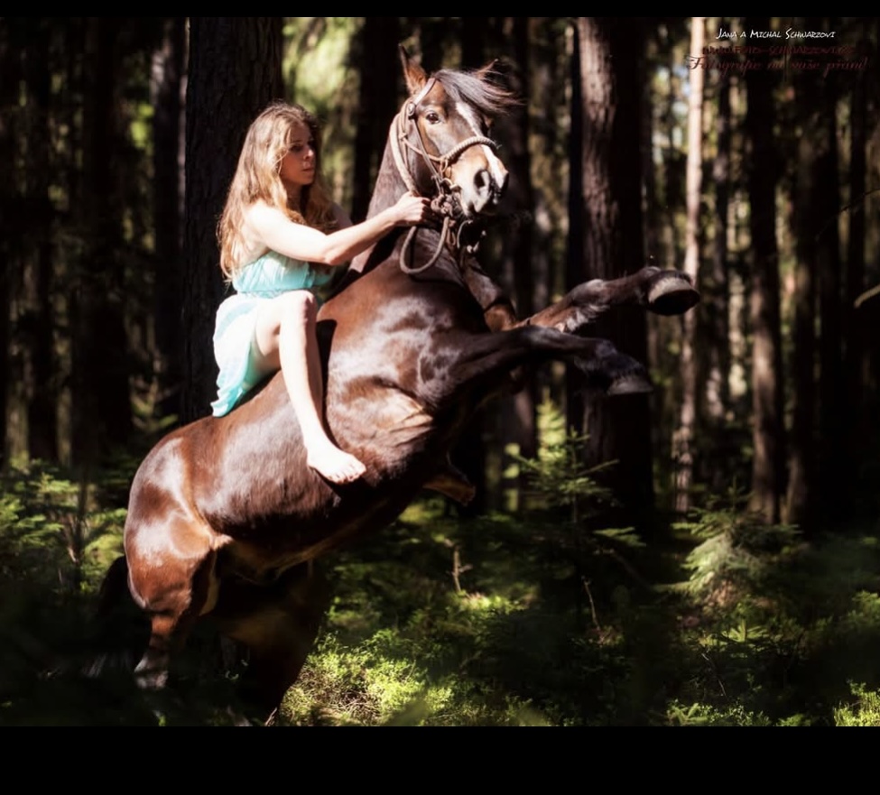 Foto Schwarzovi foto 5