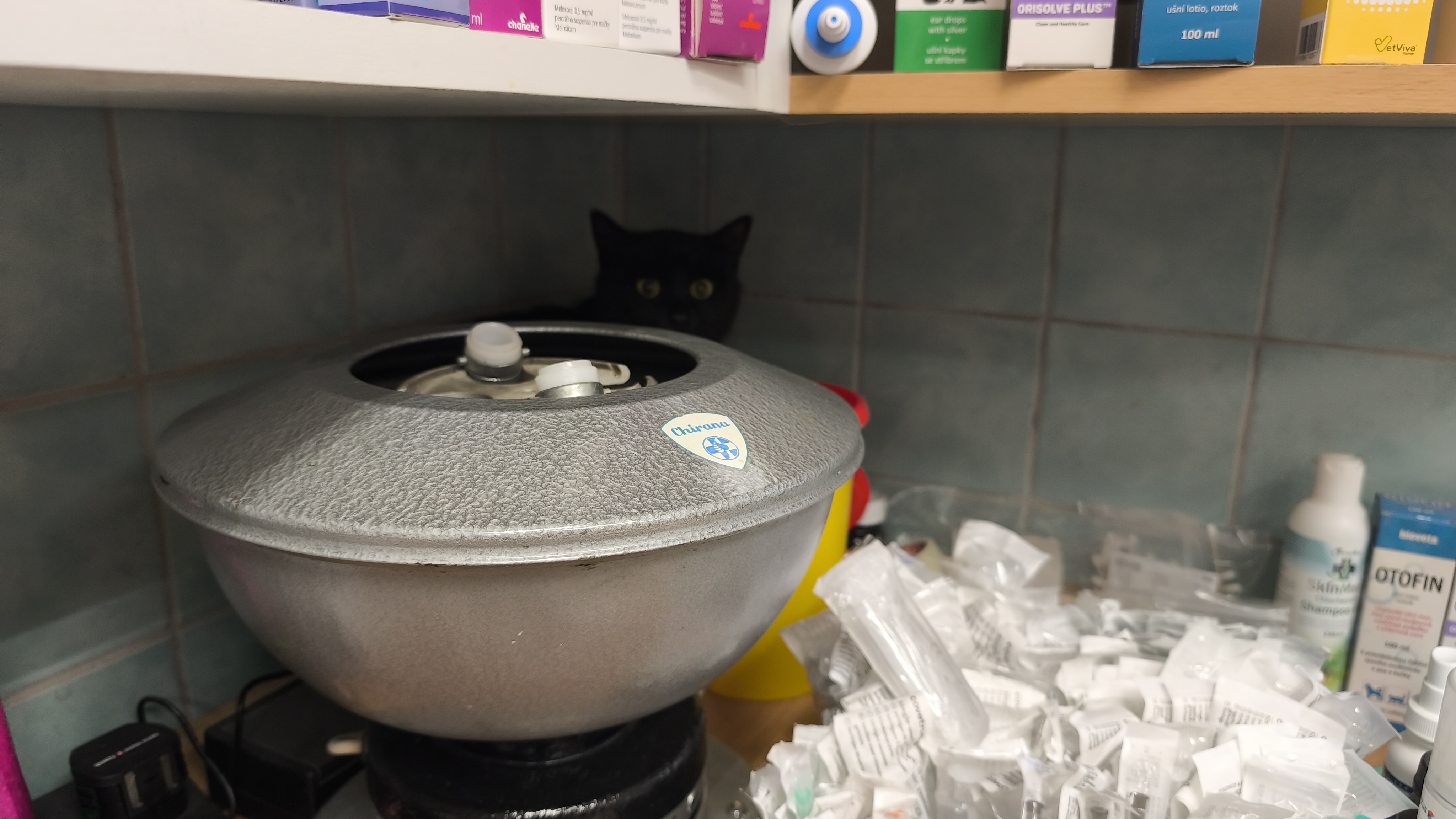 Veterinární klinika VETCARE - MVDr. Tomáš Drda foto 6