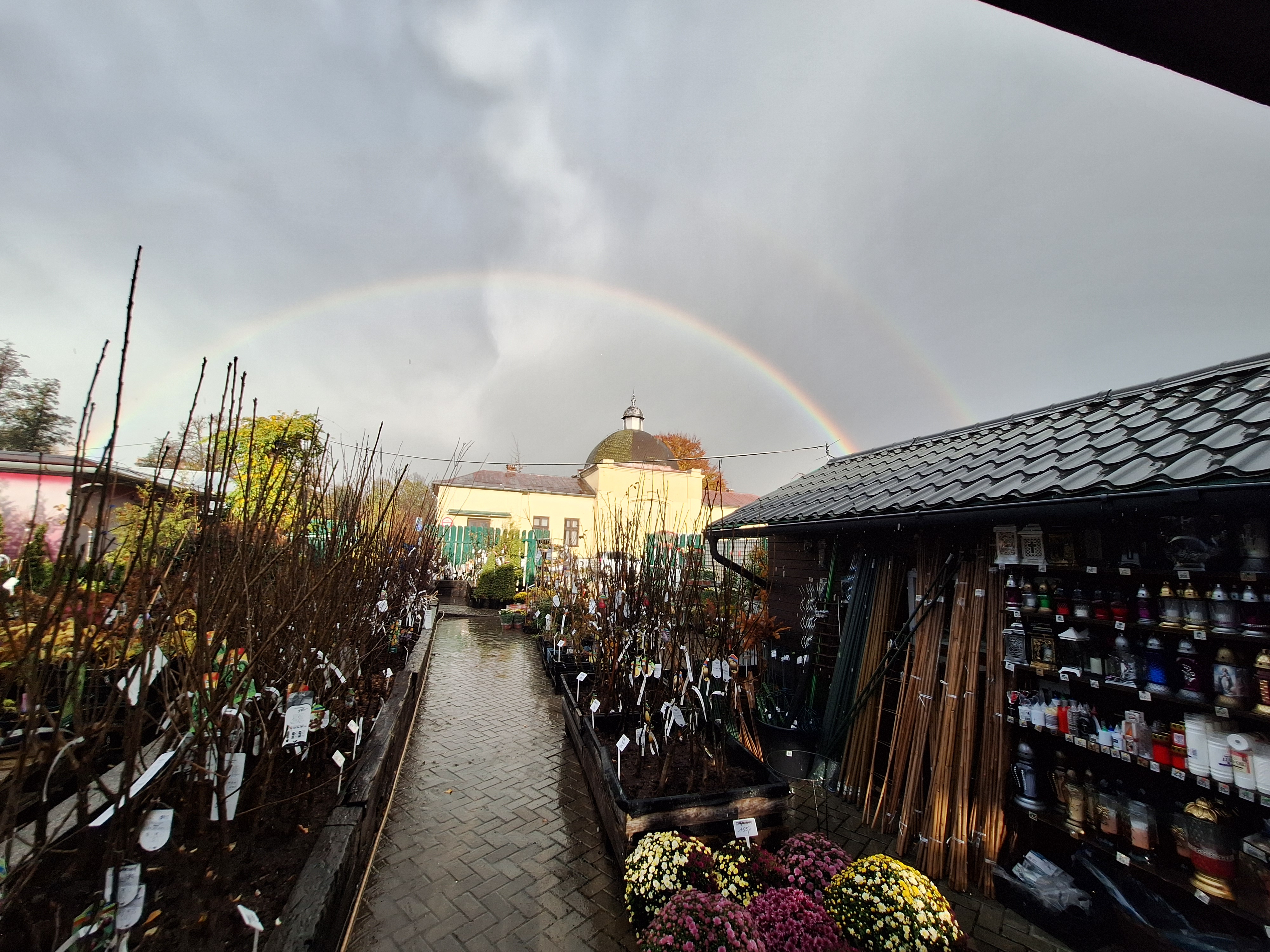 Zahradnictví Karviná - FRUTO.CZ foto 5