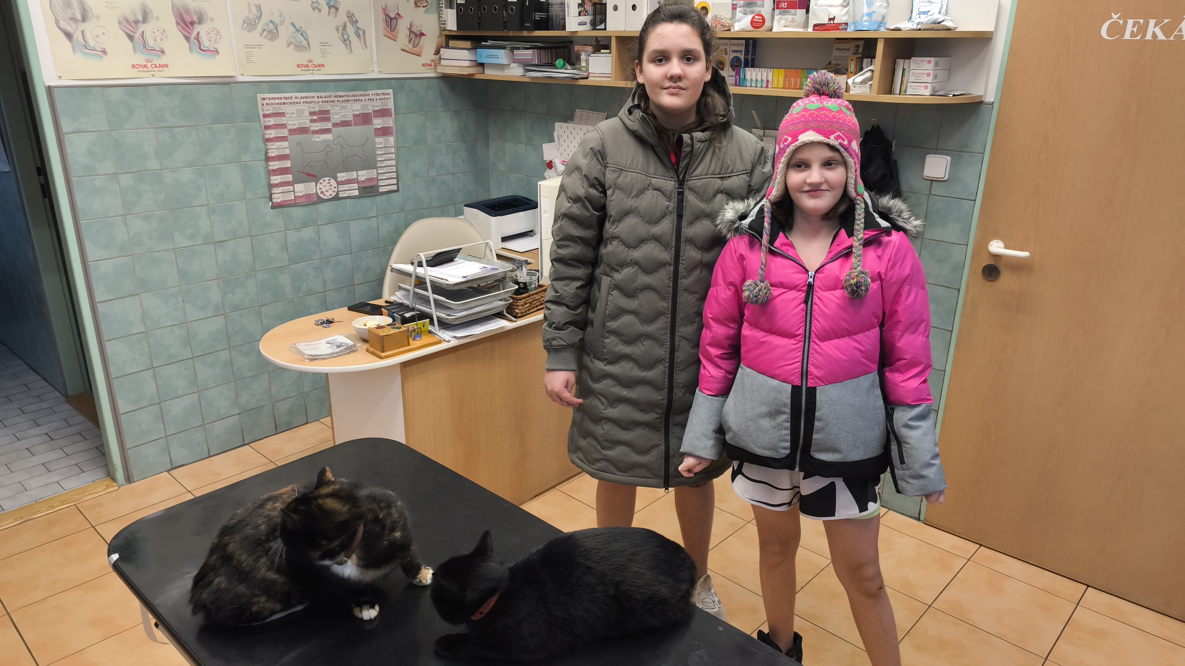 Veterinární klinika VETCARE - MVDr. Tomáš Drda foto 4