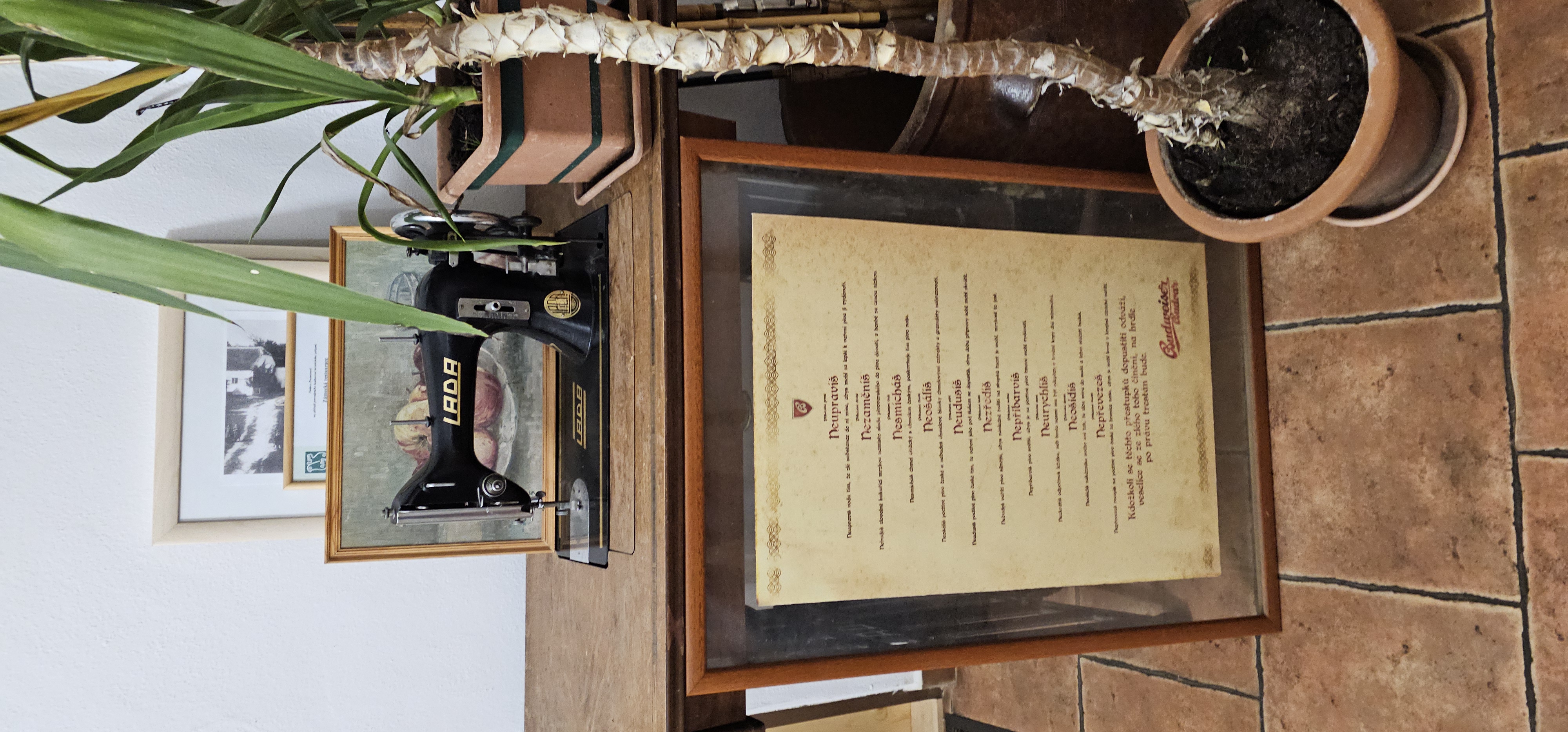 Zámecká restaurace a penzion Týn nad Vltavou foto 4