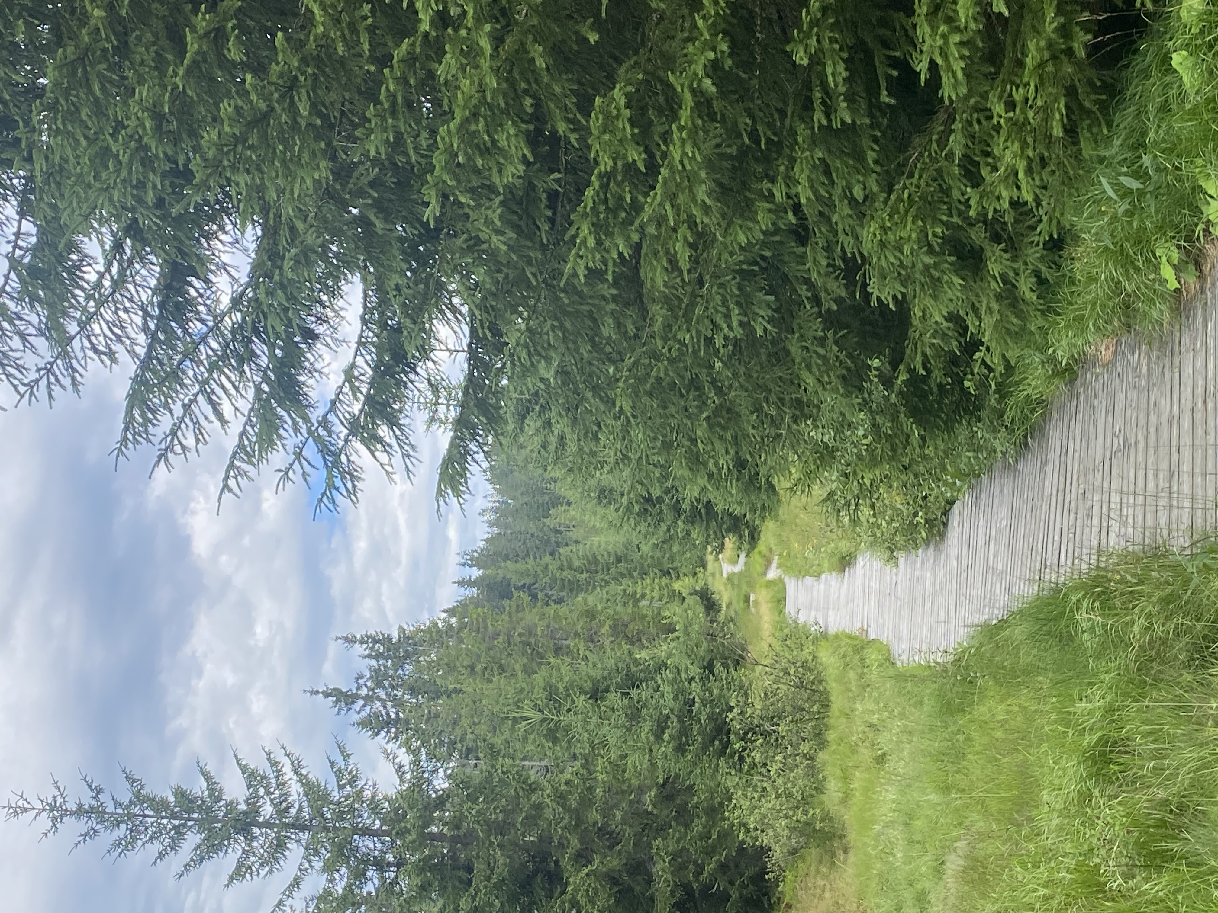 Penzion Jana foto 6