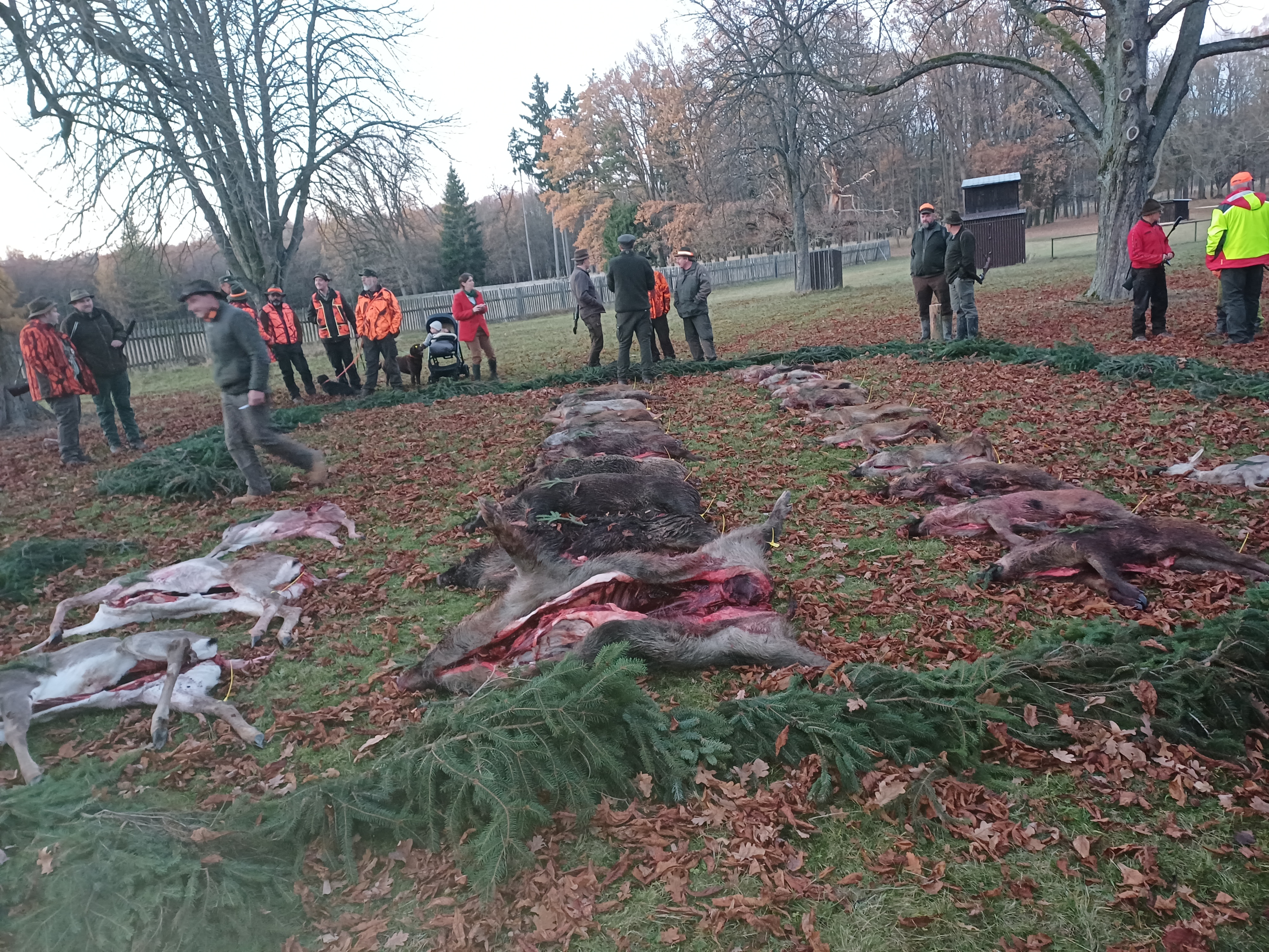 Veterinární ordinace - MVDr. Klára Perná Hyršlová foto 6