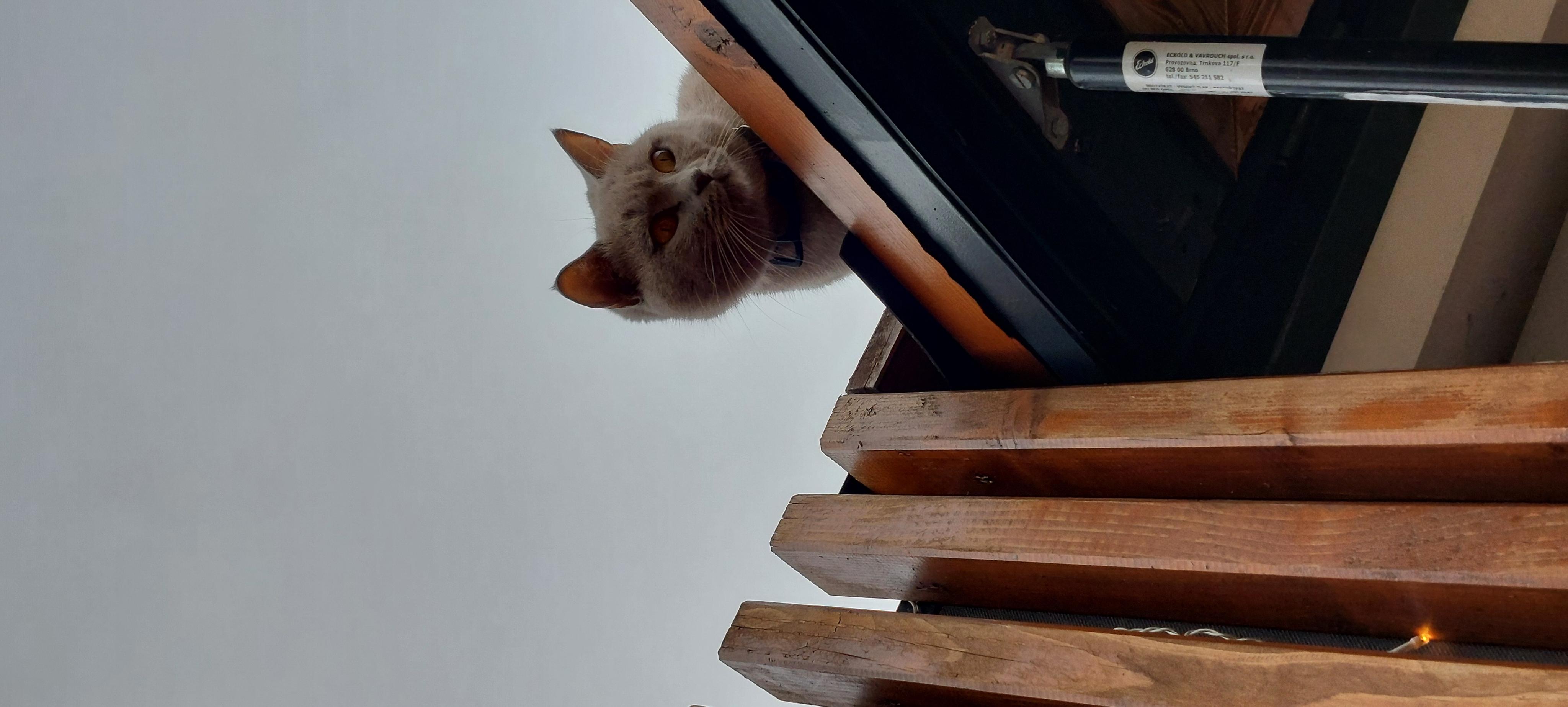 Kavárna pod Jakubem foto 6