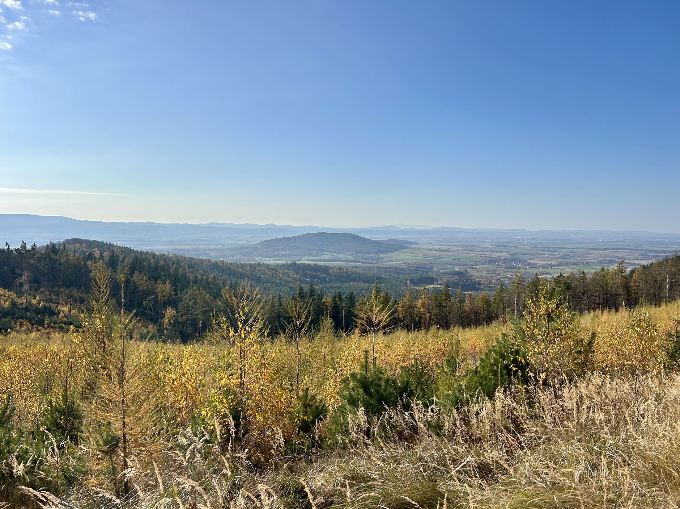 Wzgórza Kiełczyńskie