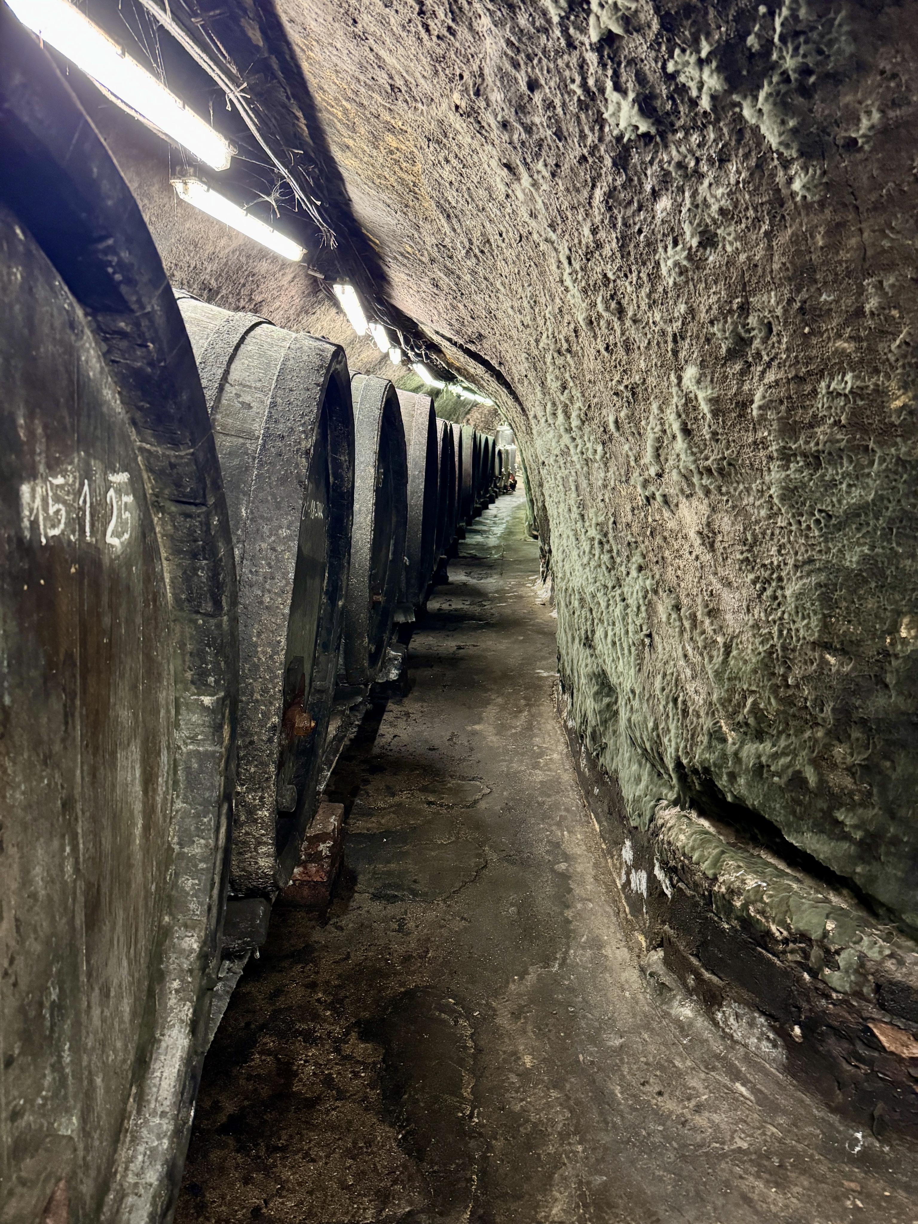 Vinařství Modrý sklep foto 3