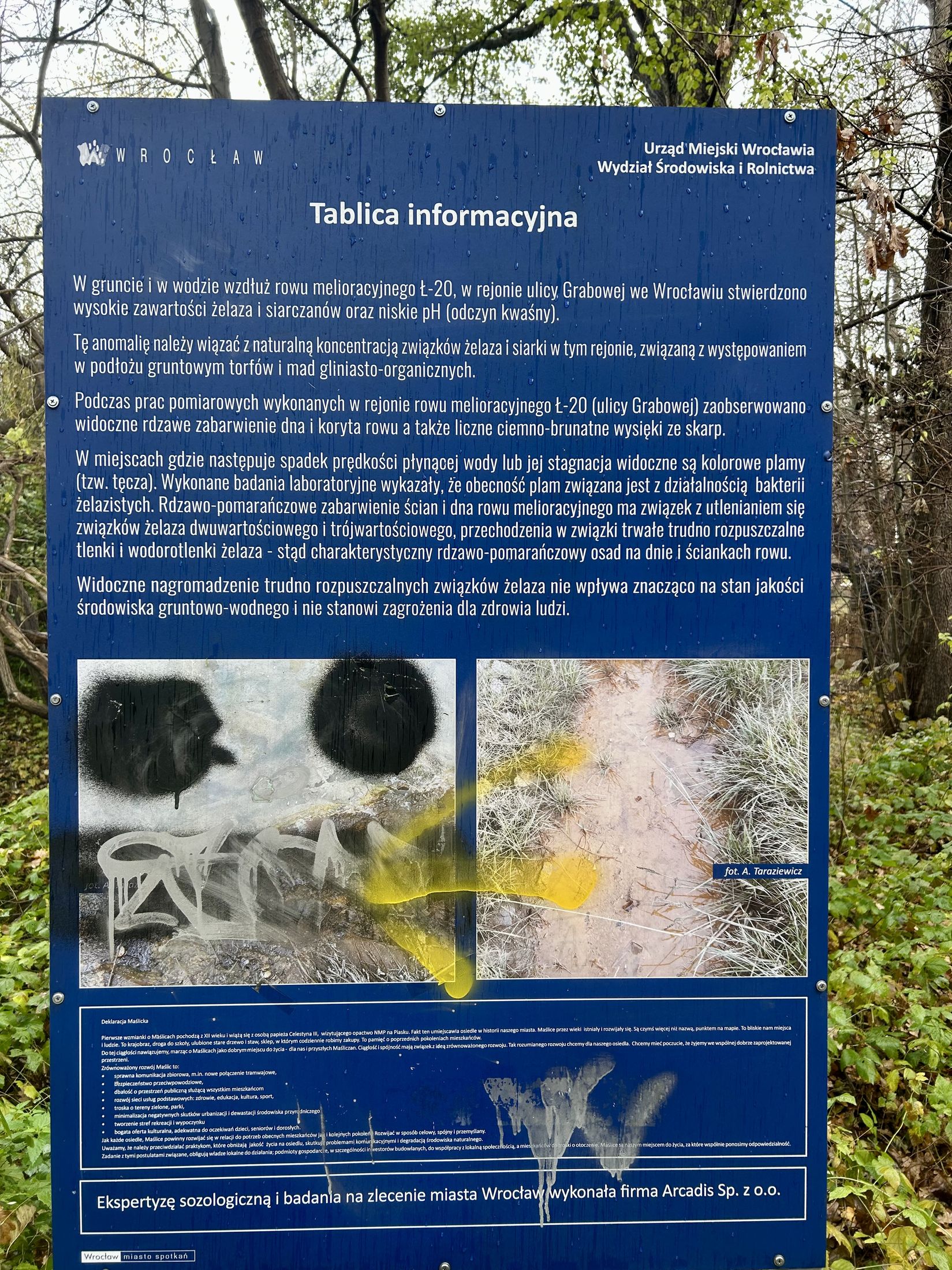 Ługowina Maślice