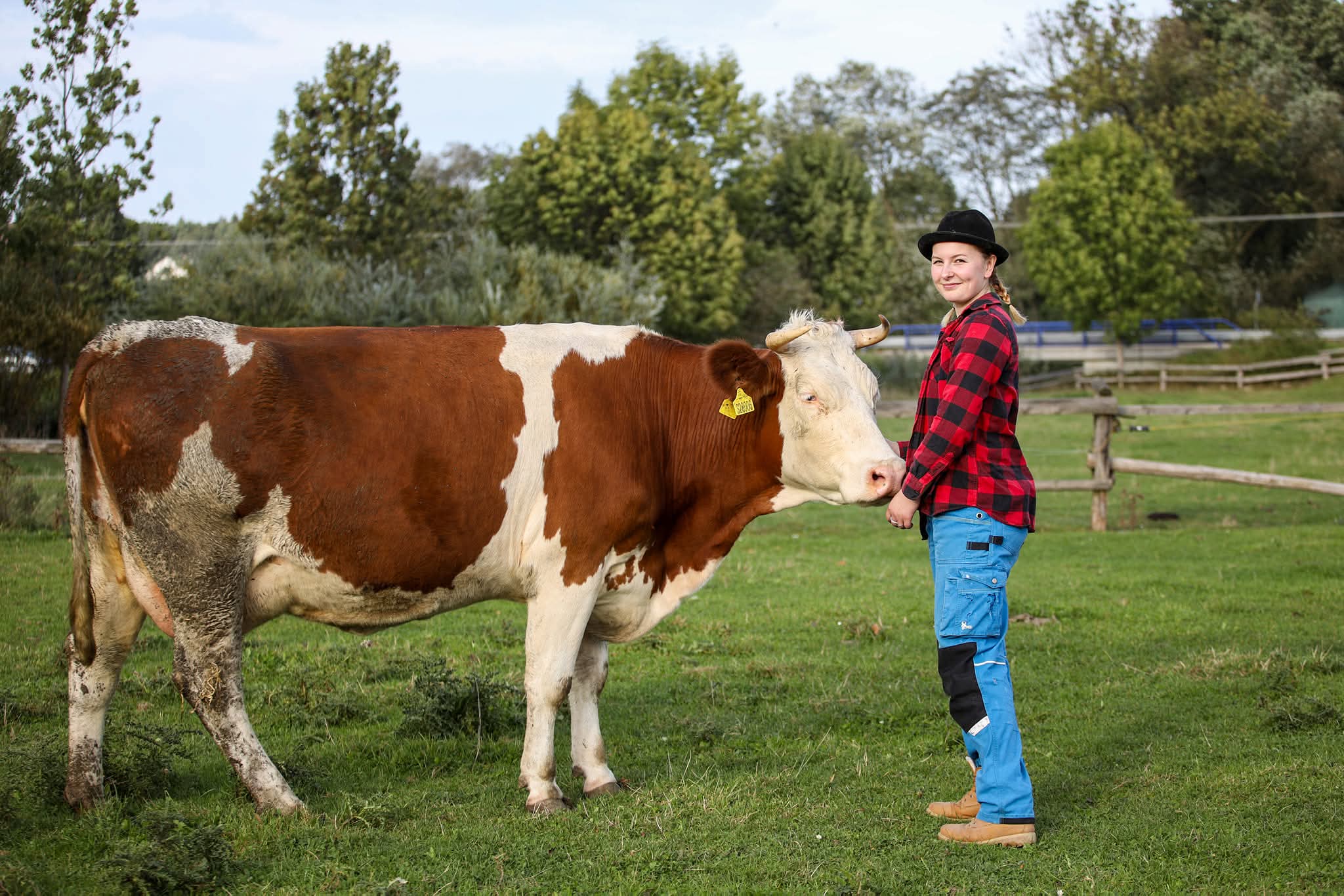 Statek Holáň foto 3