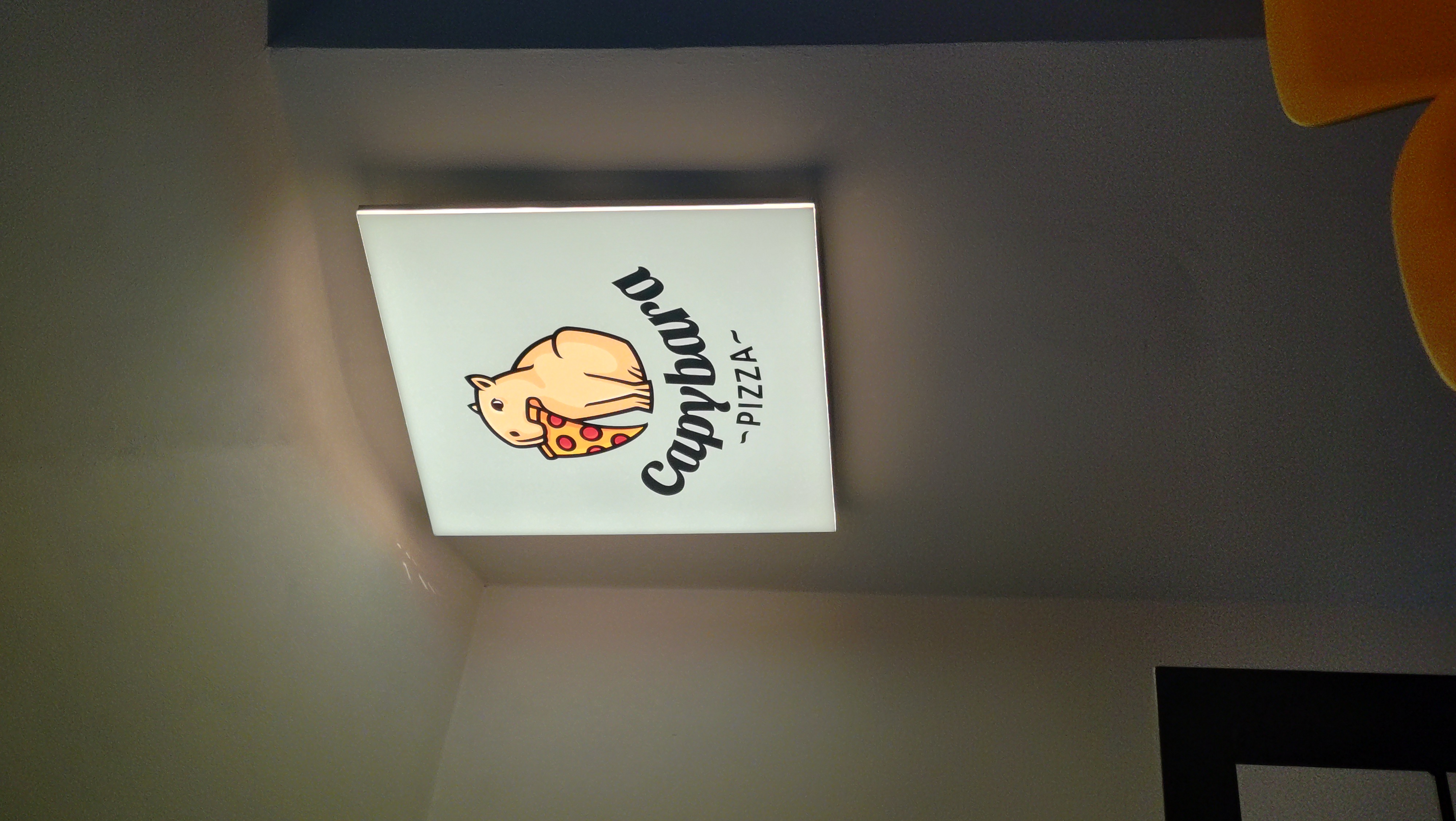 Capybara PIZZA foto 5