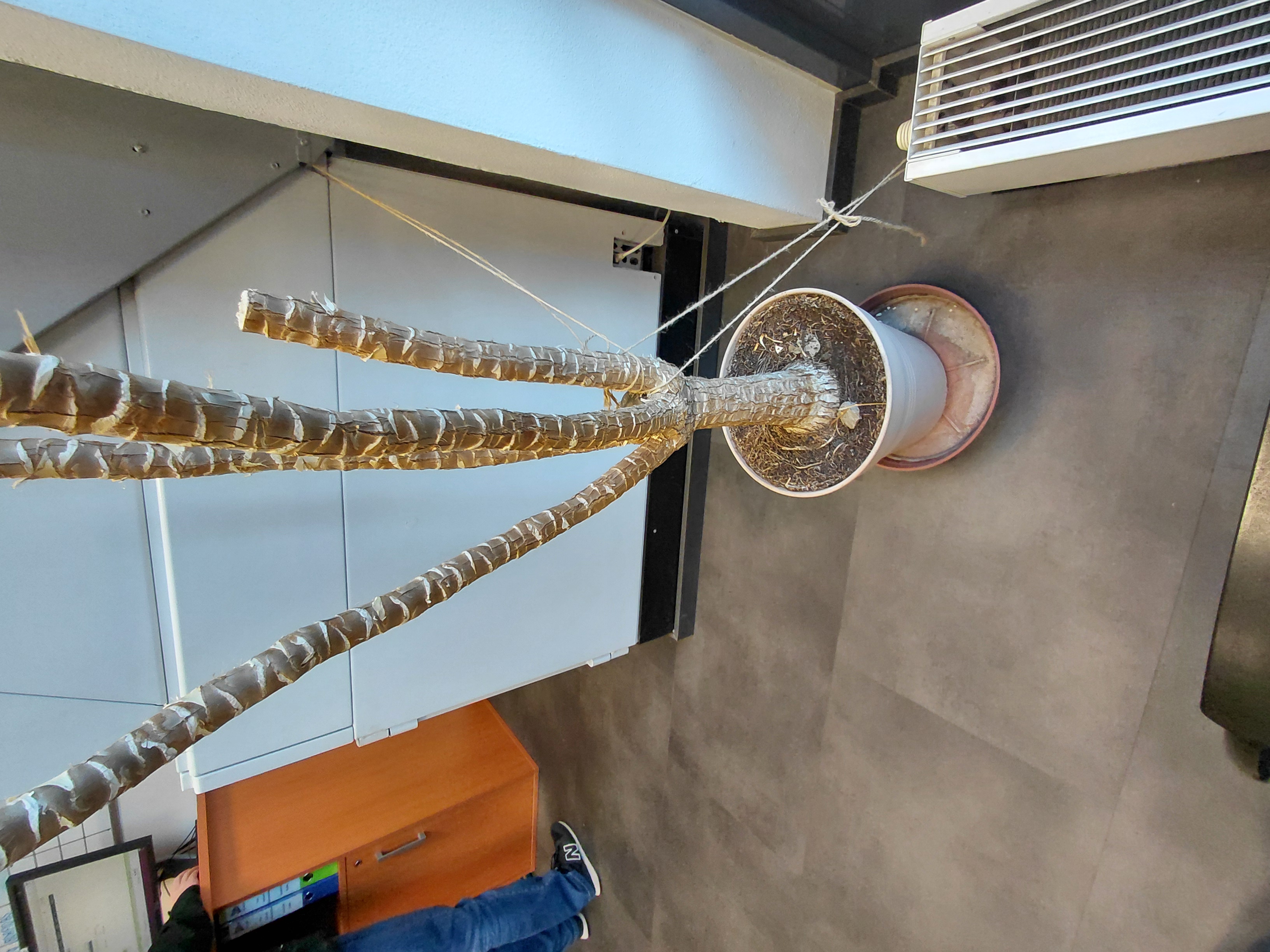 Fio banka, a.s. foto 2