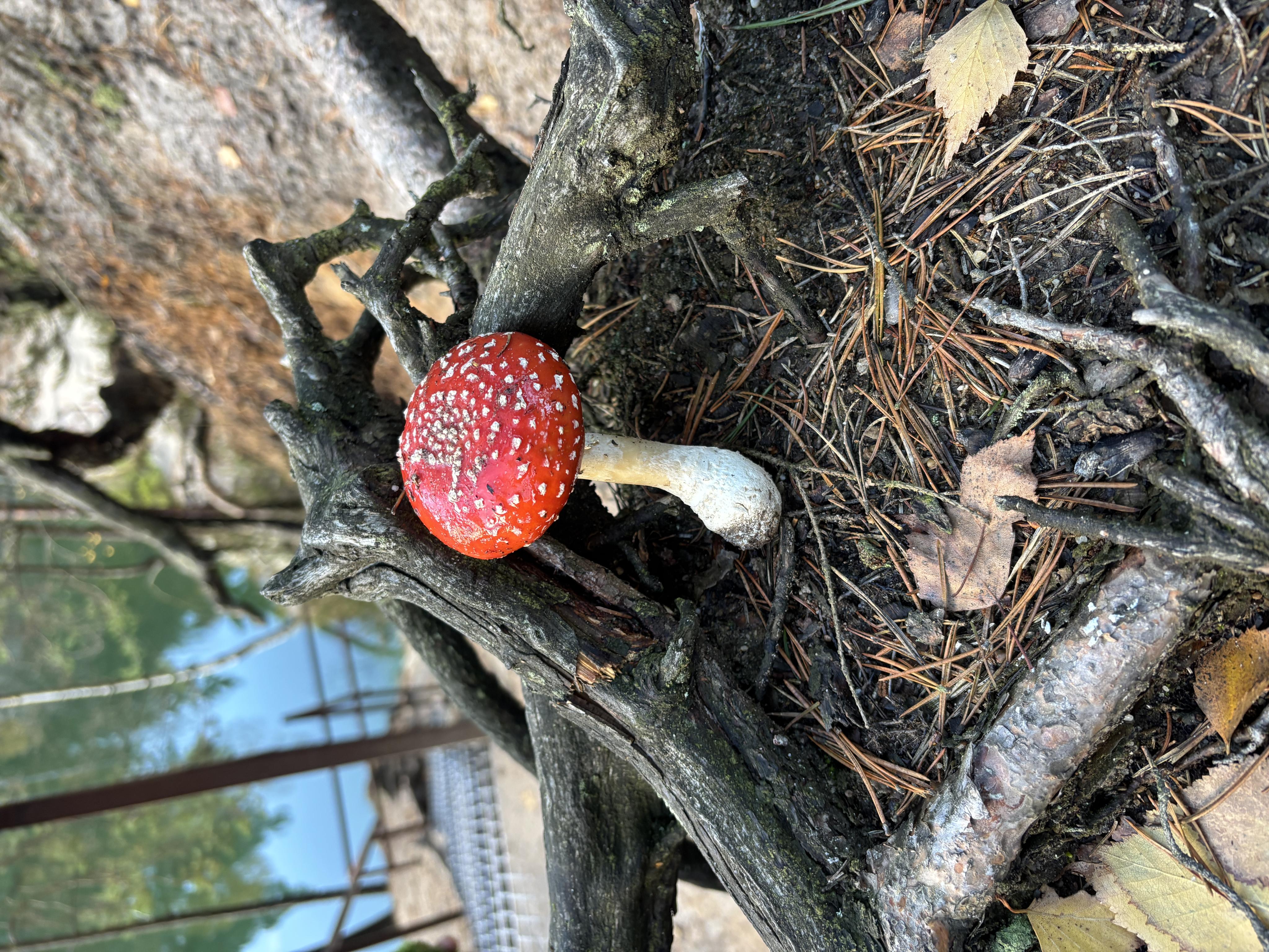 Chalupy Adršpach foto 3