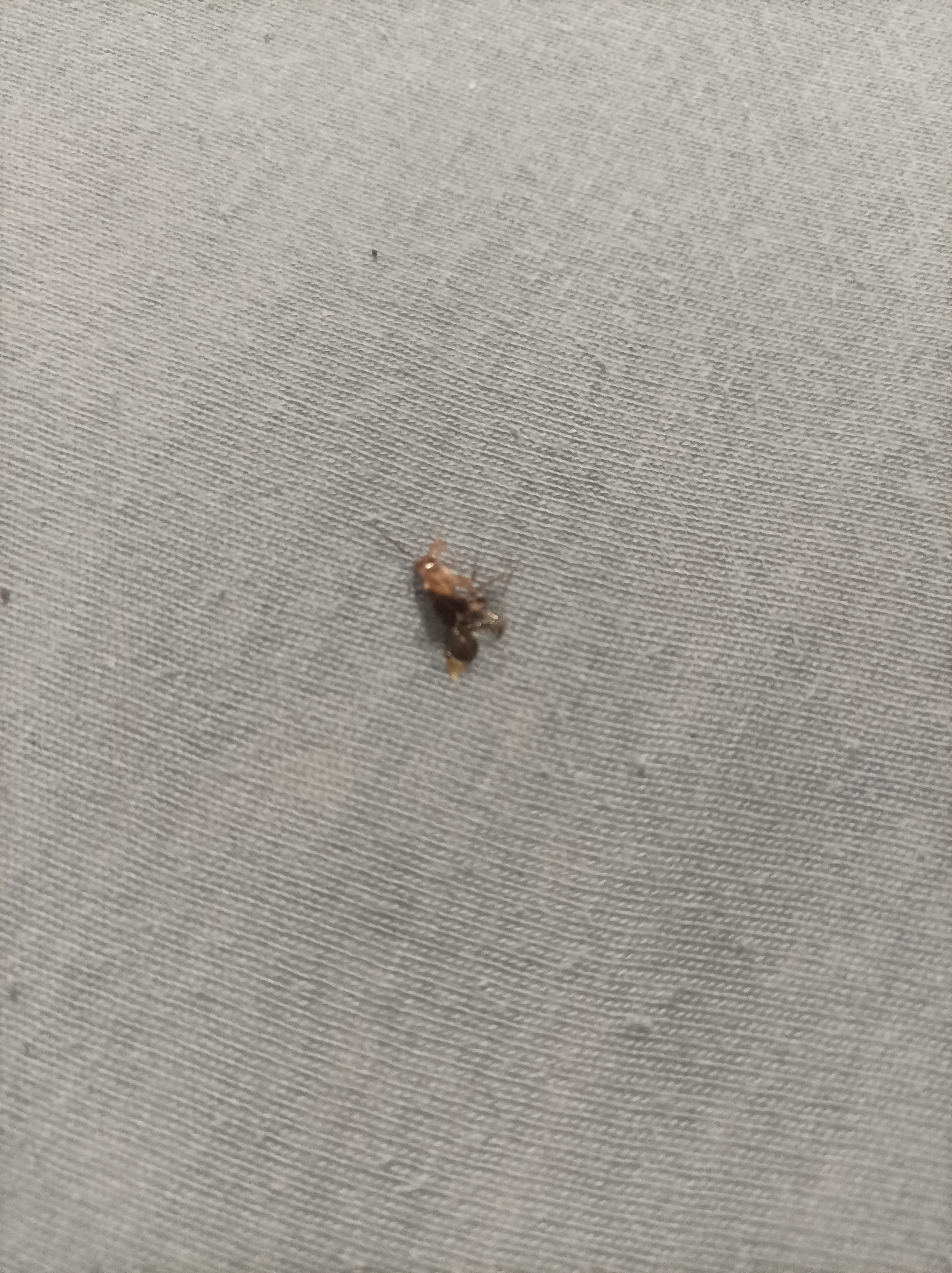 Ubytovna U Dýhárny foto 2