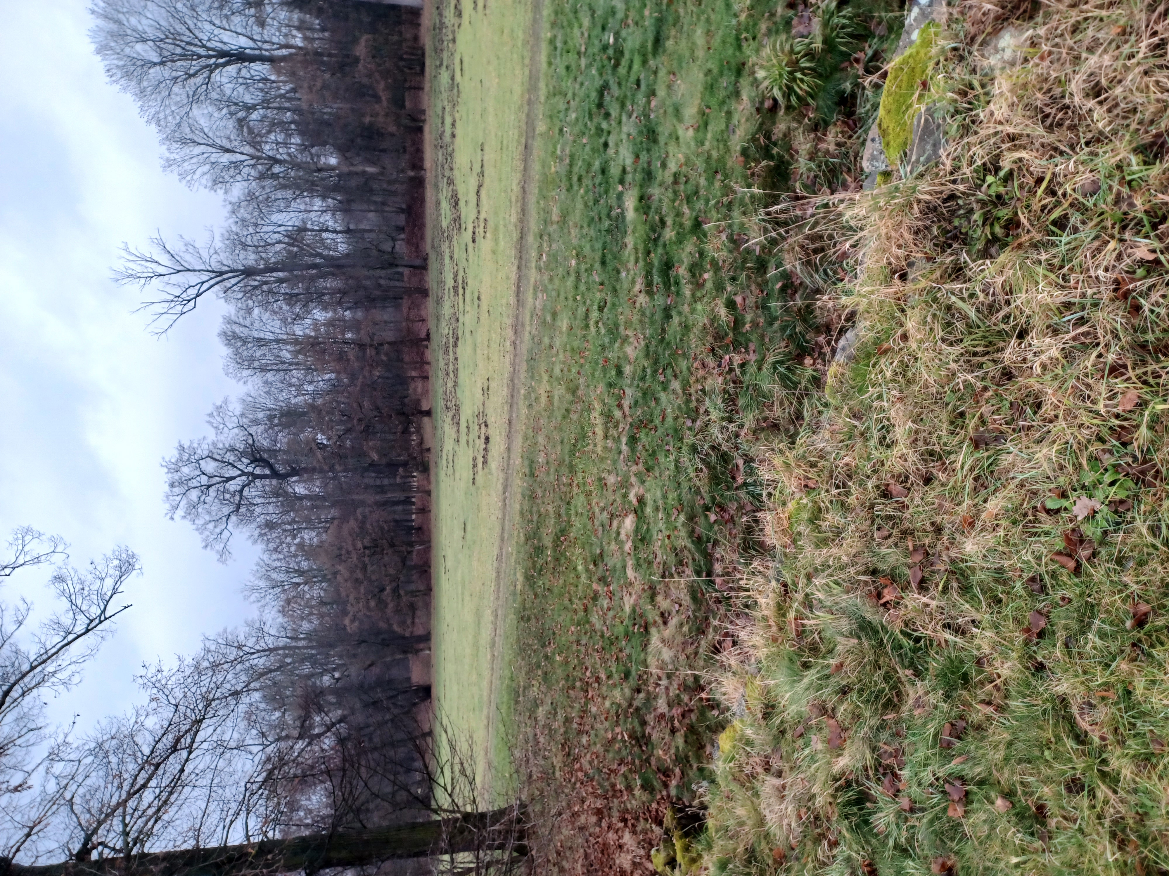 Českomoravská myslivecká jednota, z.s., okresní myslivecký spolek Kutná Hora foto 4
