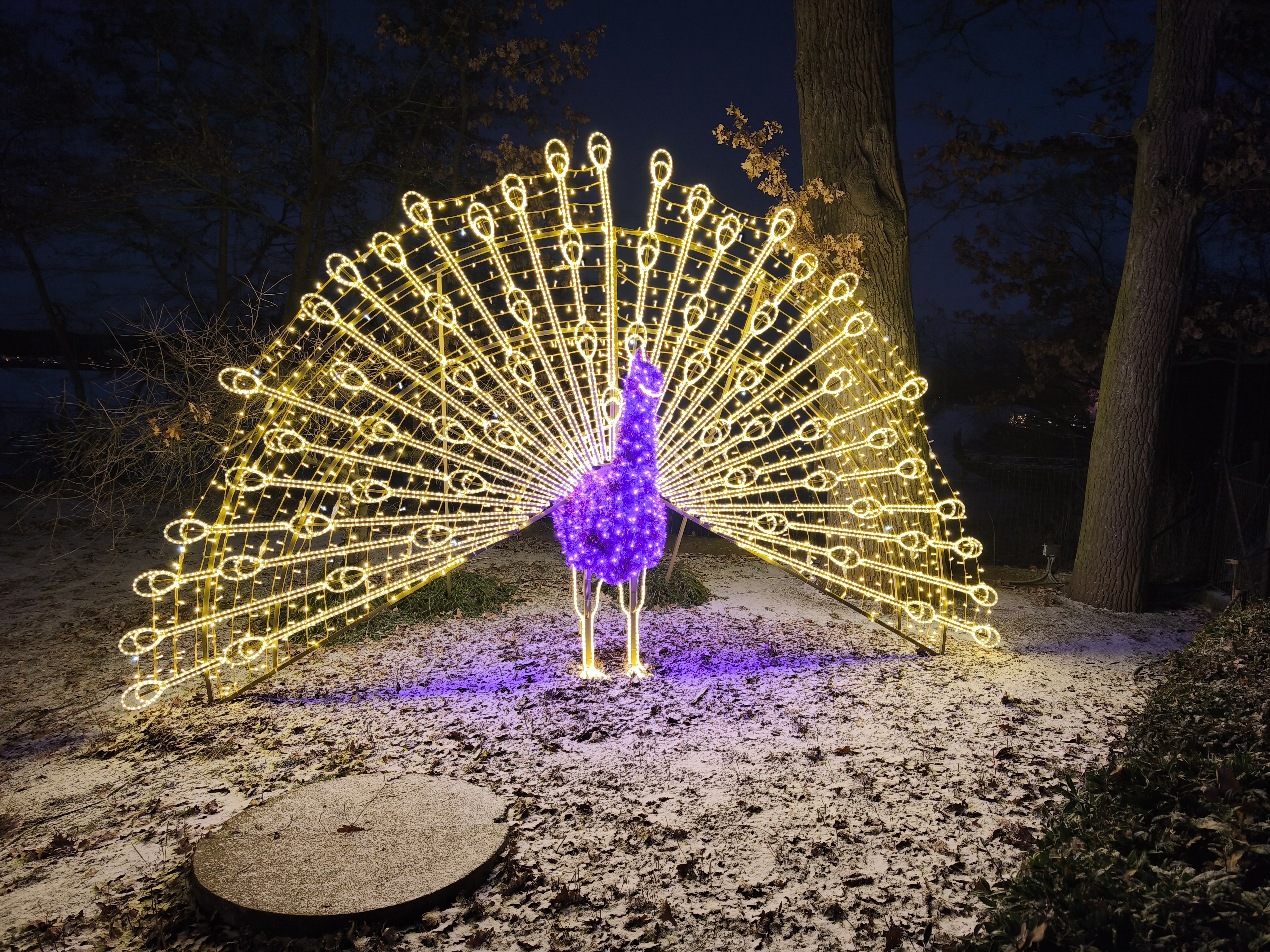 Jihočeská zoologická zahrada Hluboká nad Vltavou foto 2