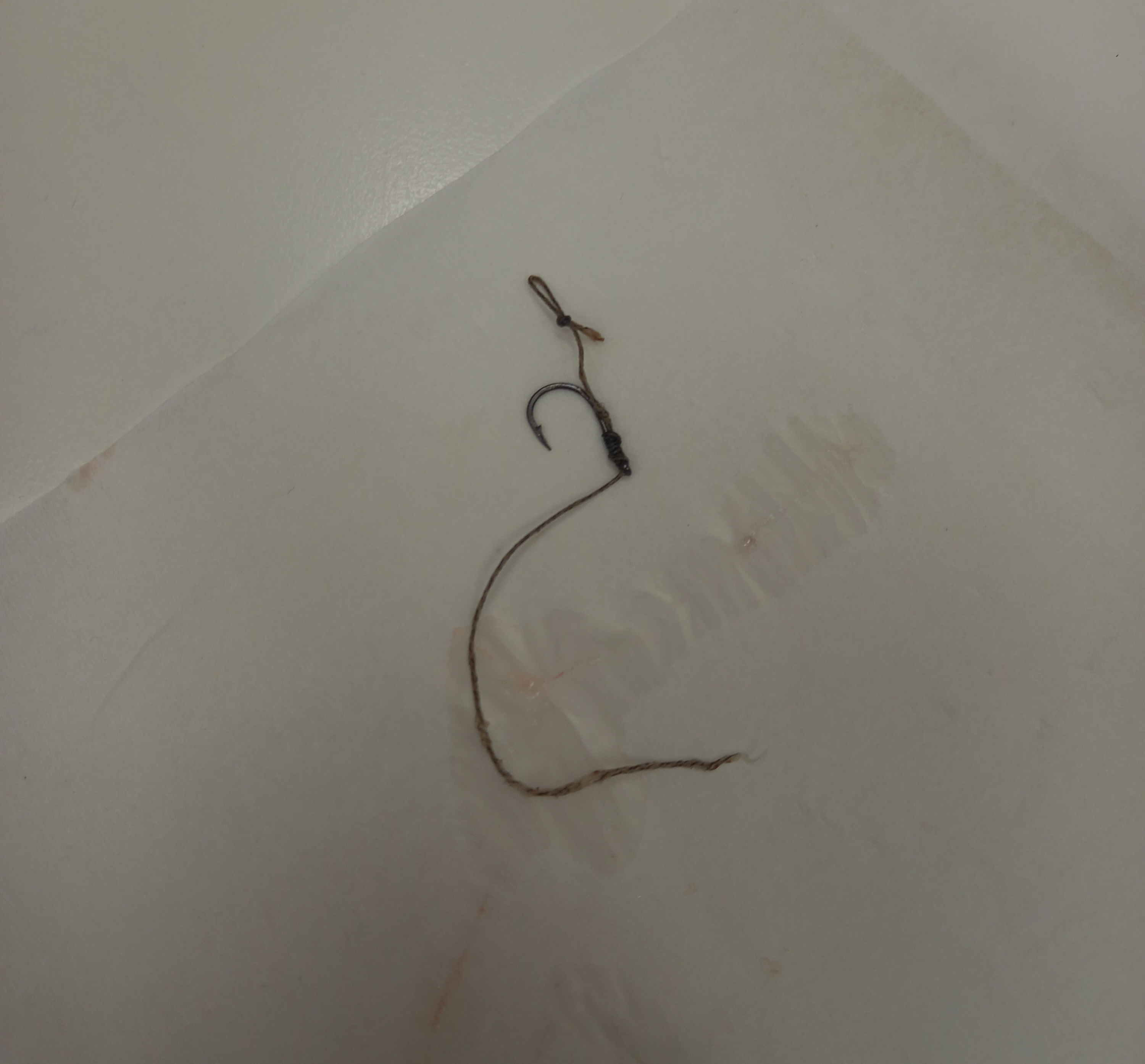 Veterinární klinika MVDr. Marek Šupica foto 2