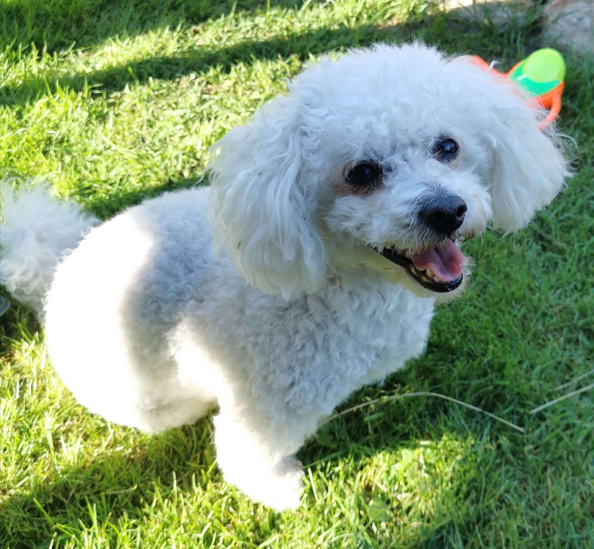 Sportovní hala - ZŠ a MŠ Zákupy foto 2