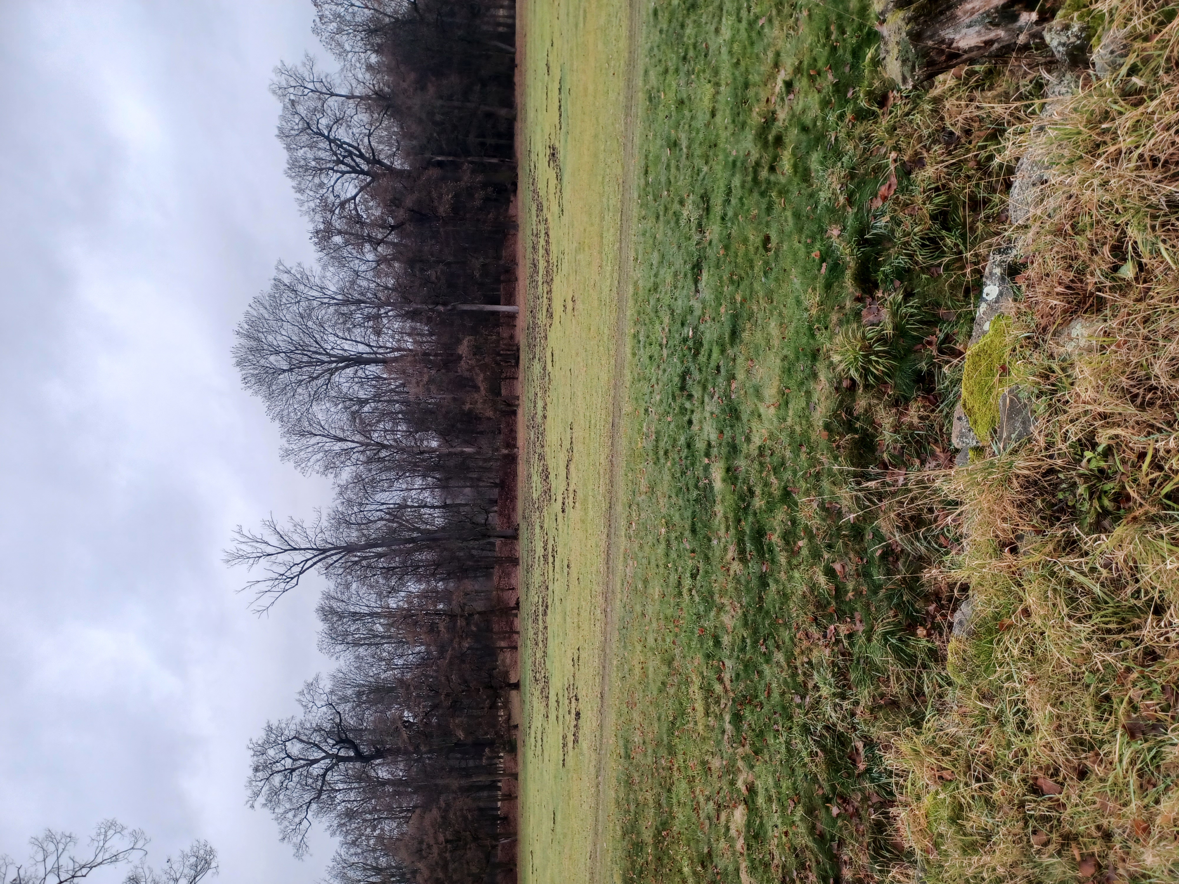 Českomoravská myslivecká jednota, z.s., okresní myslivecký spolek Kutná Hora foto 2