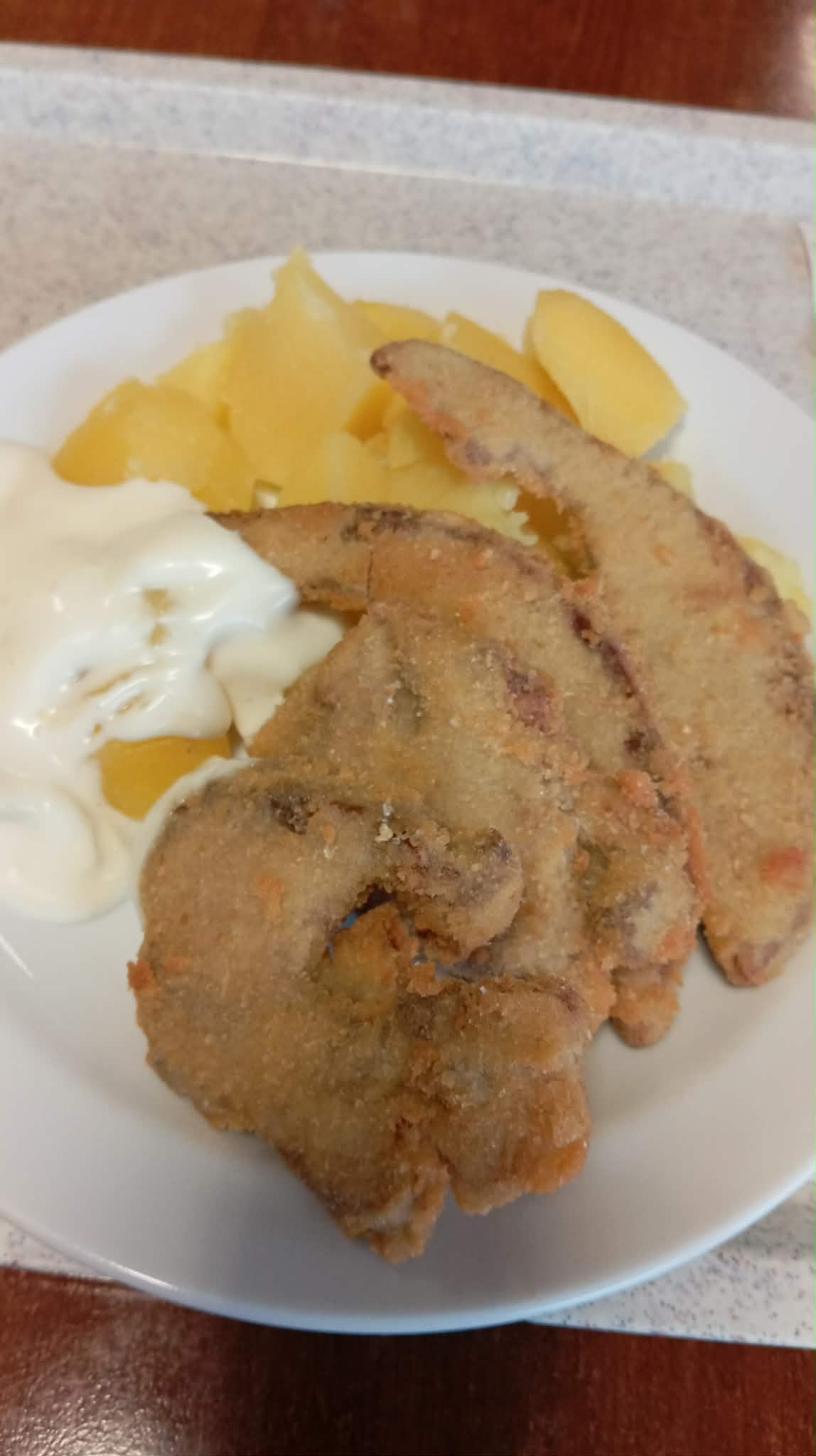 Jídelna u Fojtů foto 3