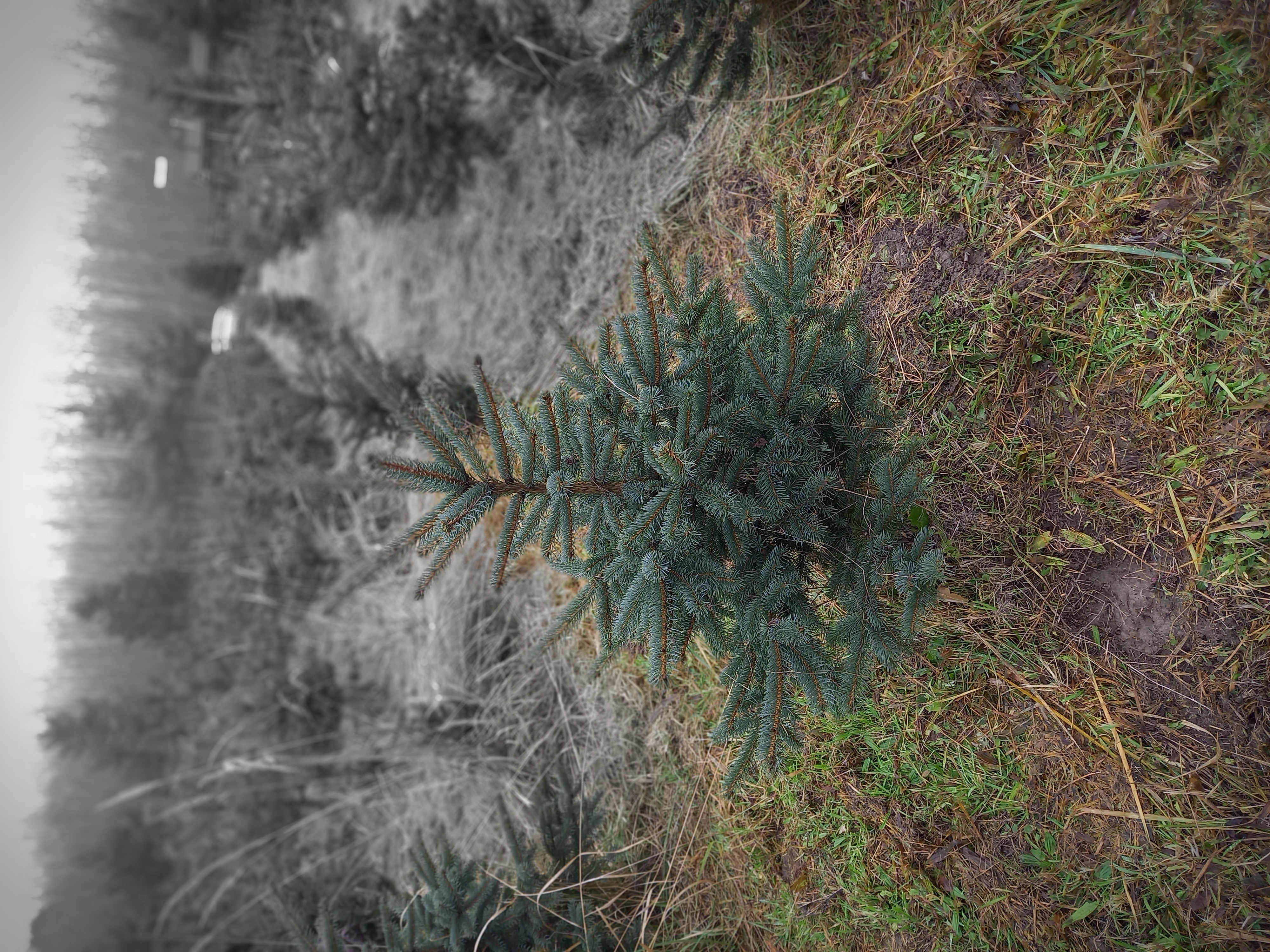 Plantáž Na Zadkách foto 1