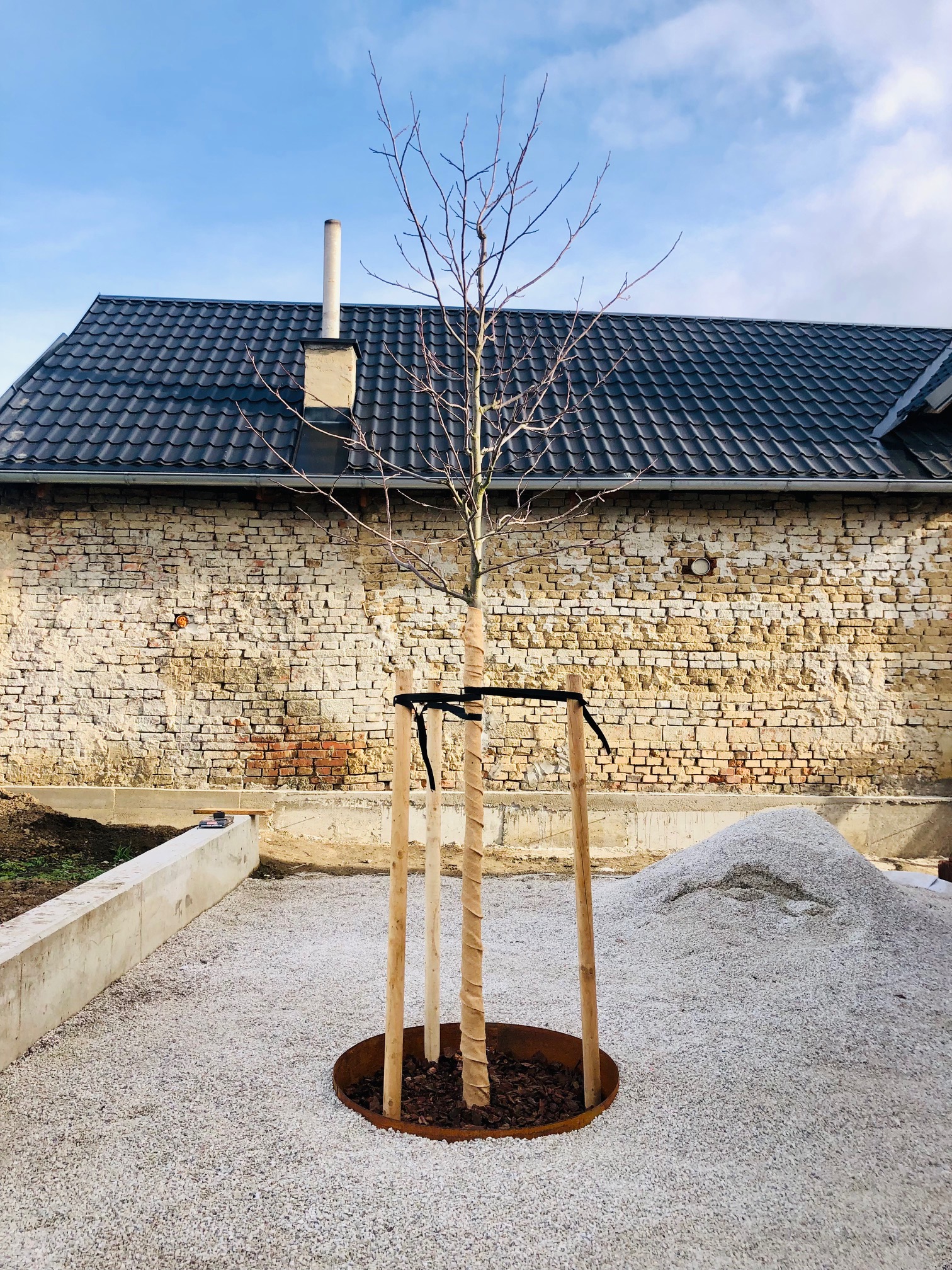 Prodej stromků, s.r.o. foto 5