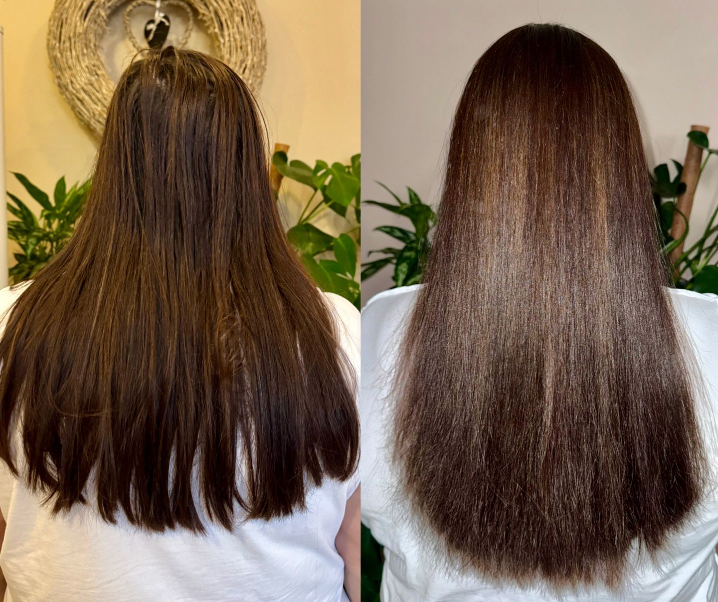 Empathy Rituals foto 5