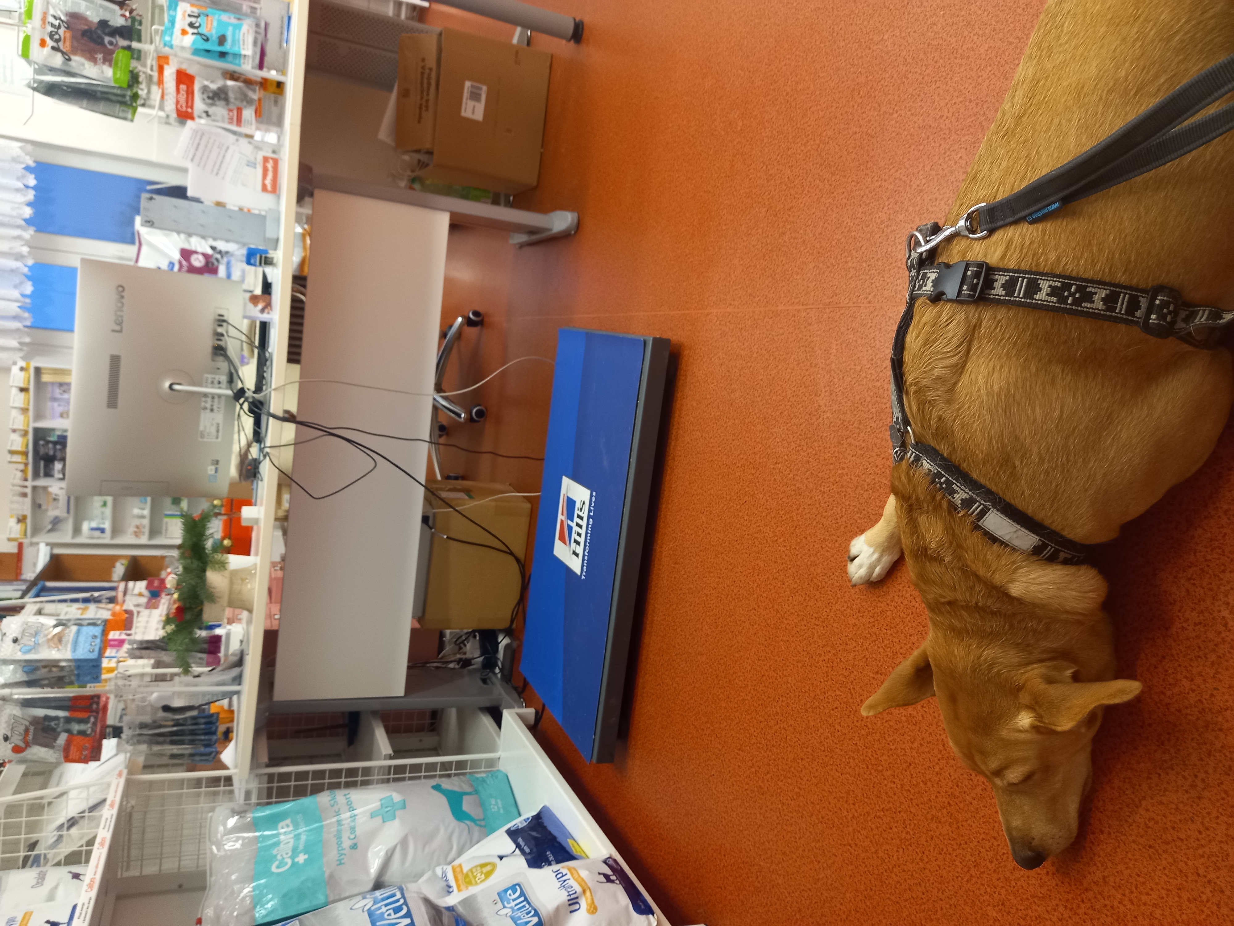 Veterinární klinika MVDr. Marek Šupica foto 4