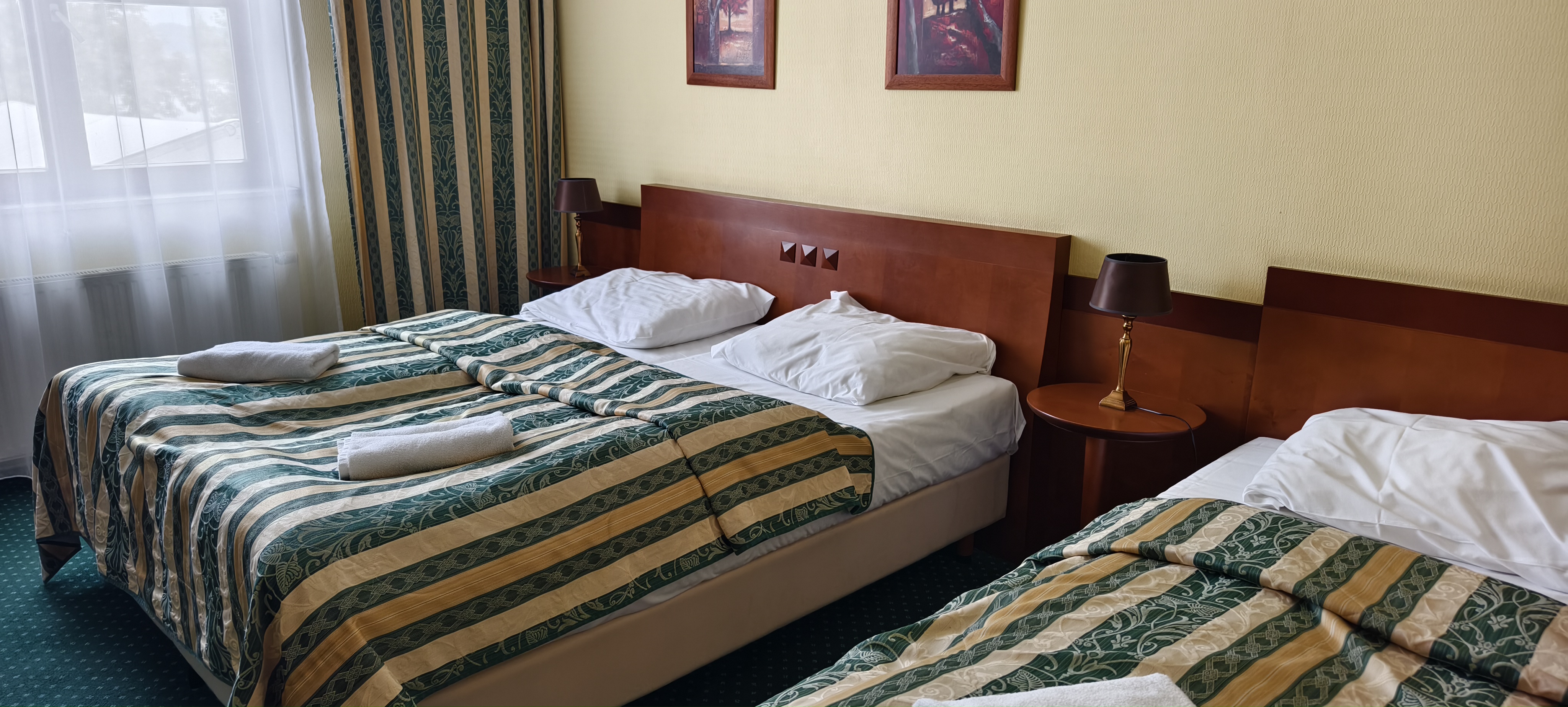 Hotel Terasa foto 4
