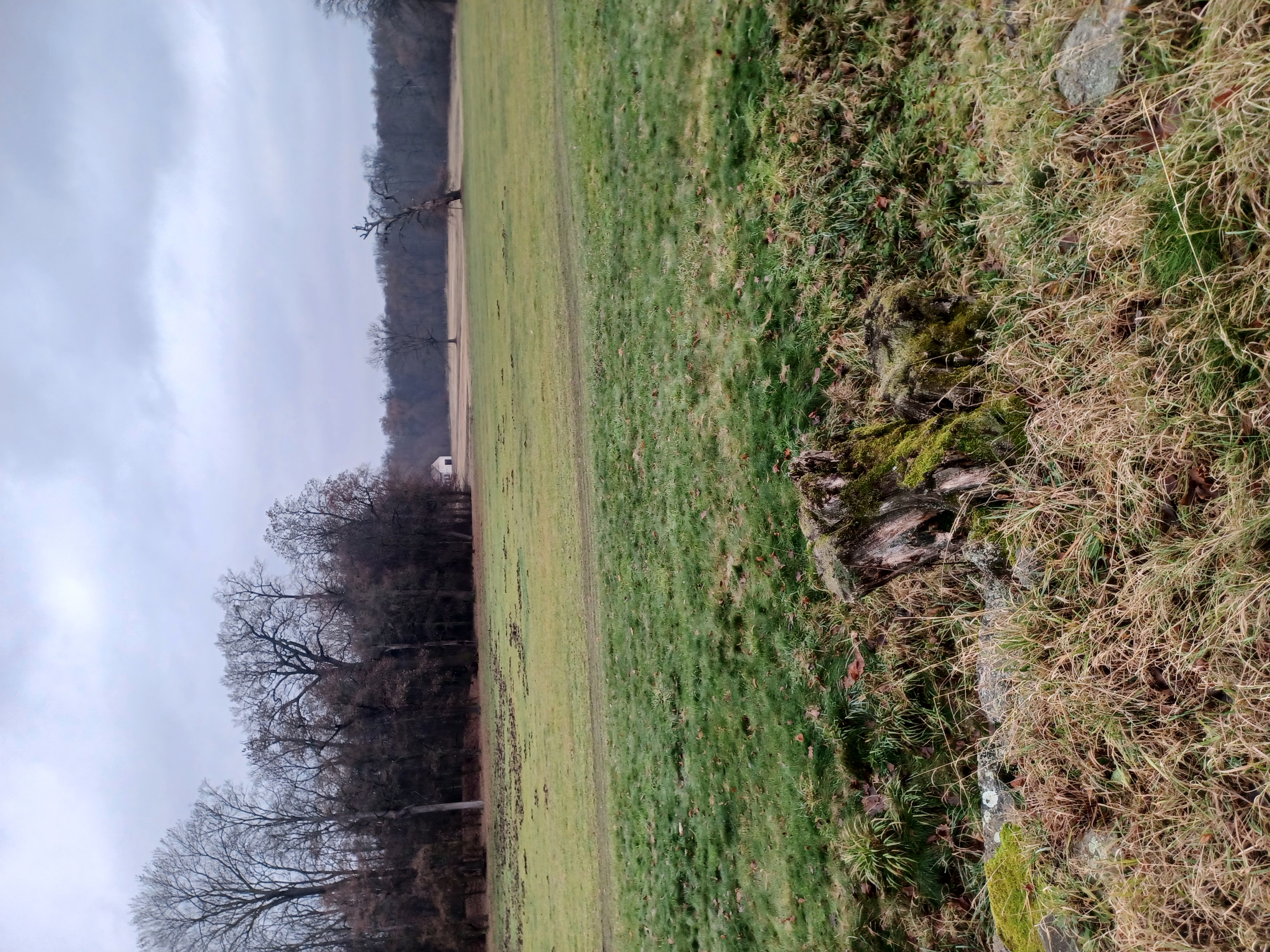 Českomoravská myslivecká jednota, z.s., okresní myslivecký spolek Kutná Hora foto 3