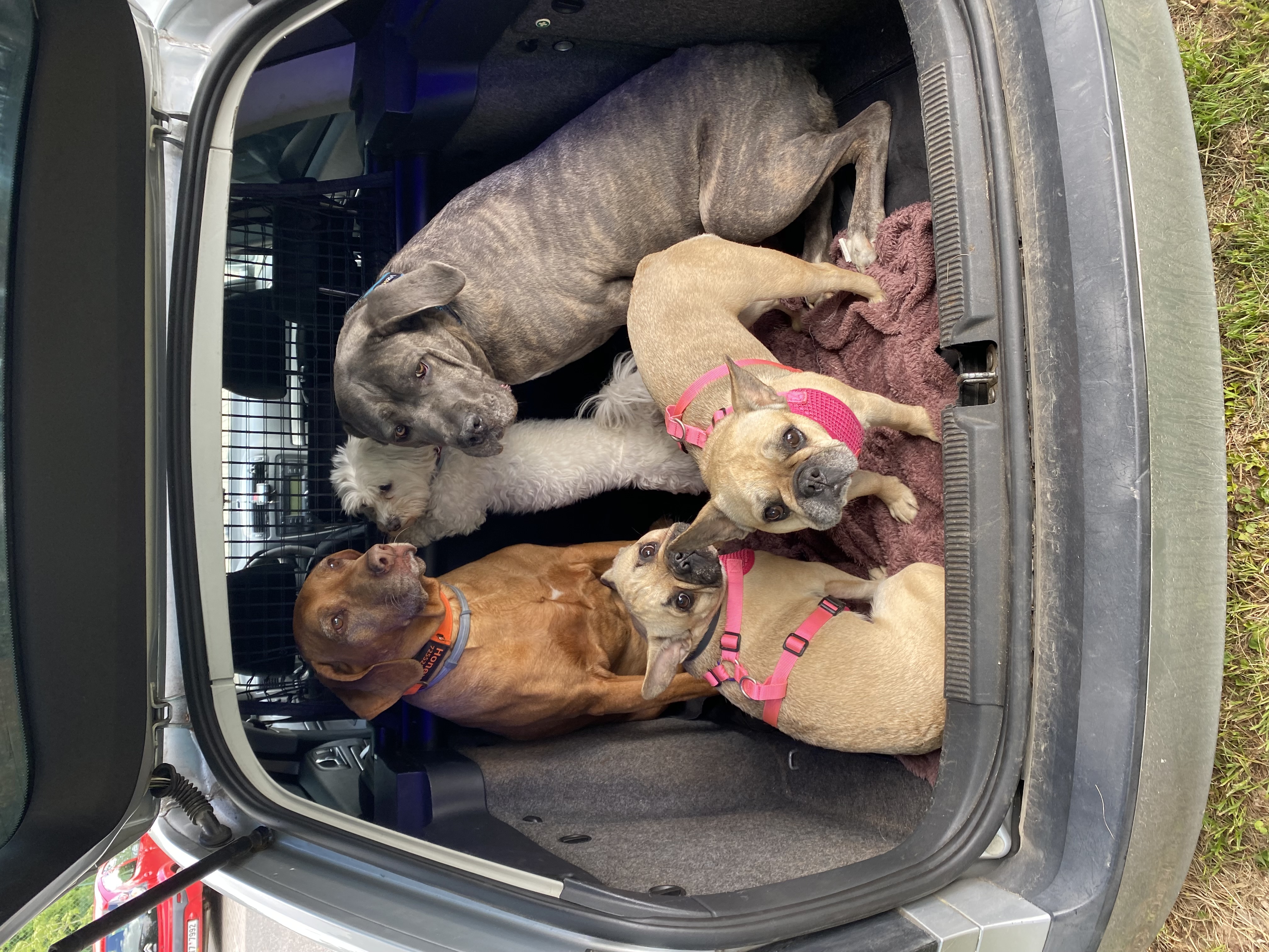 Veterinární ambulance, MVDr. Zbyněk Konvička foto 1