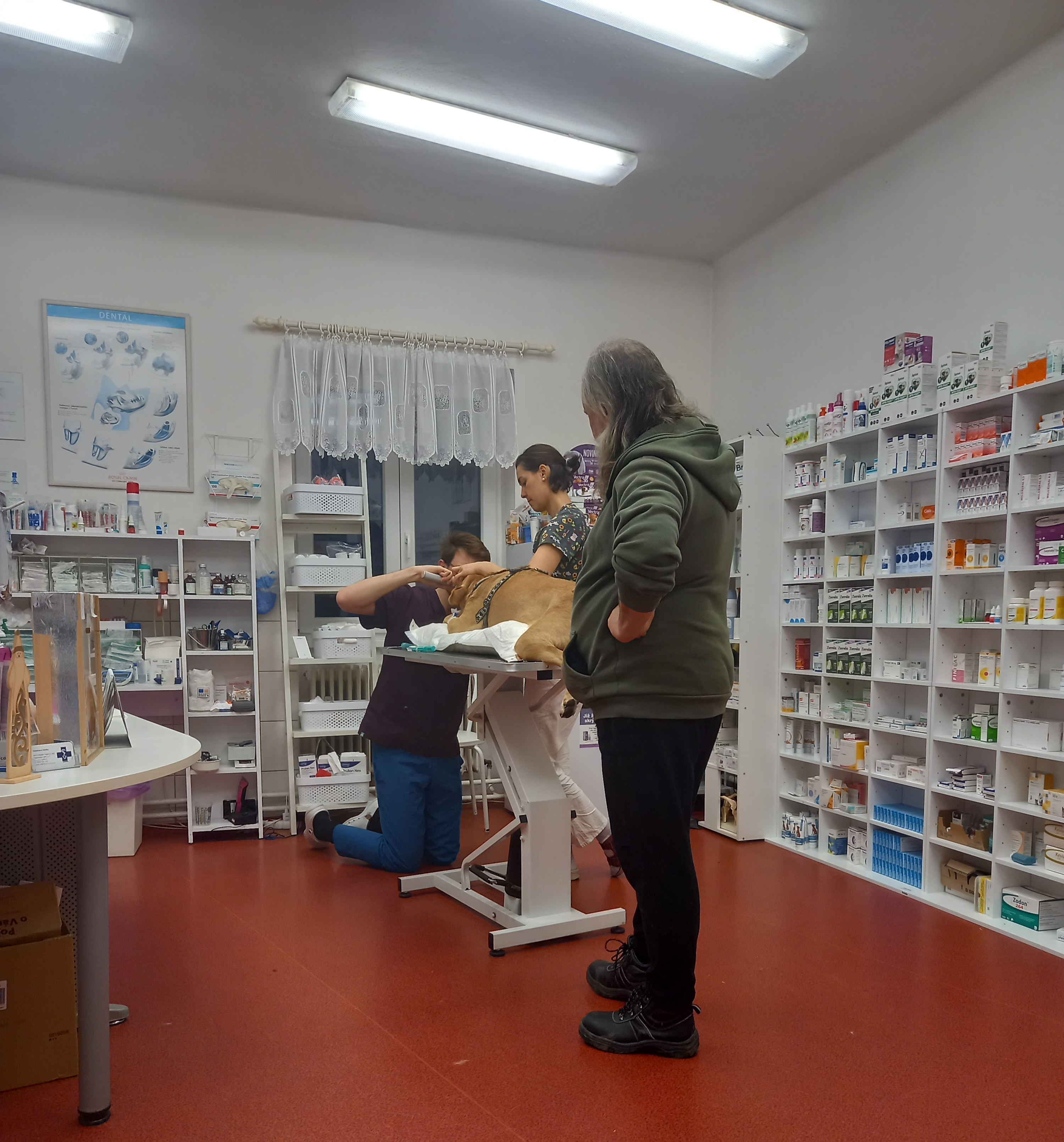 Veterinární klinika MVDr. Marek Šupica foto 3