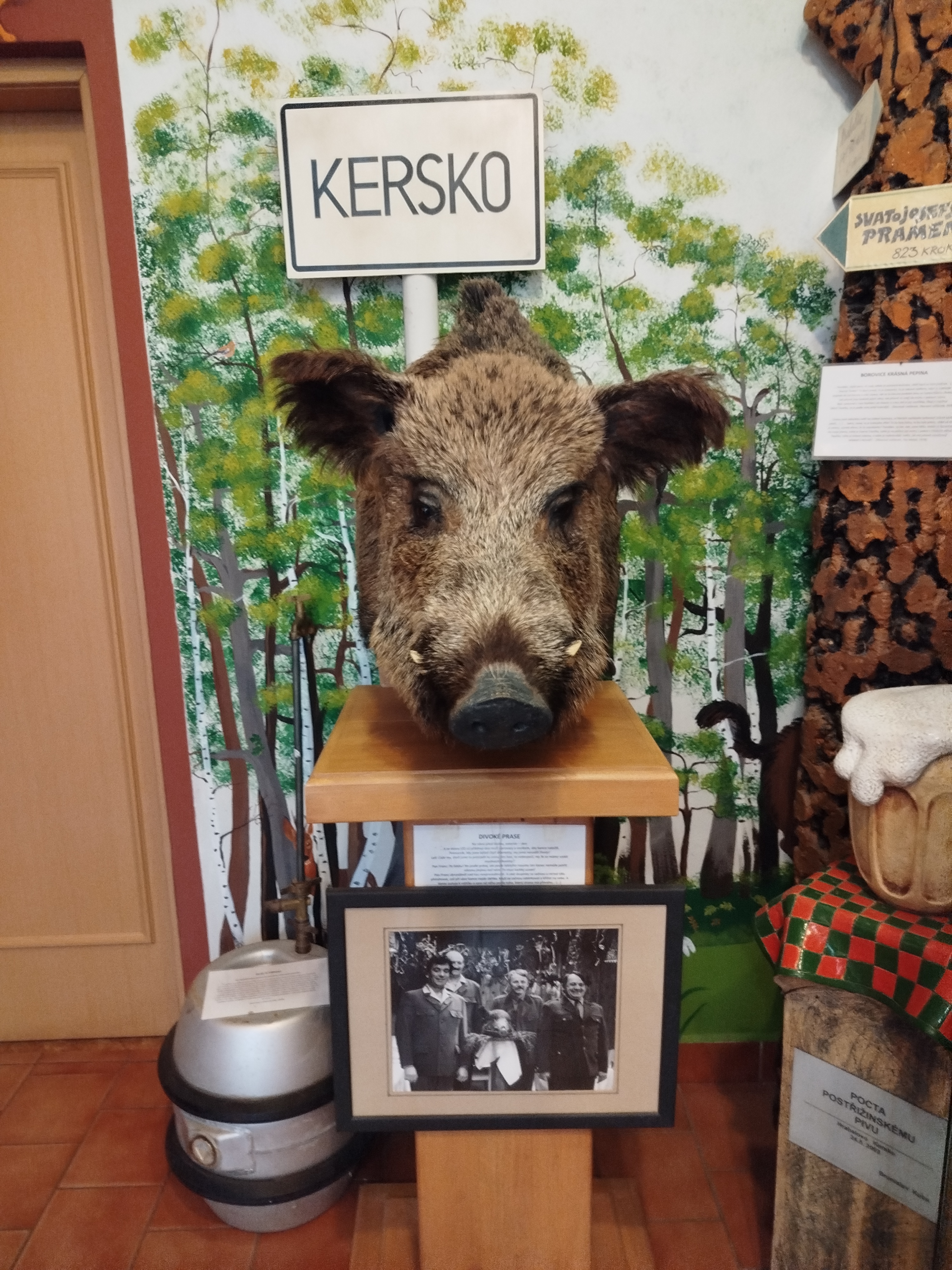 Lesní ateliér Kuba foto 6