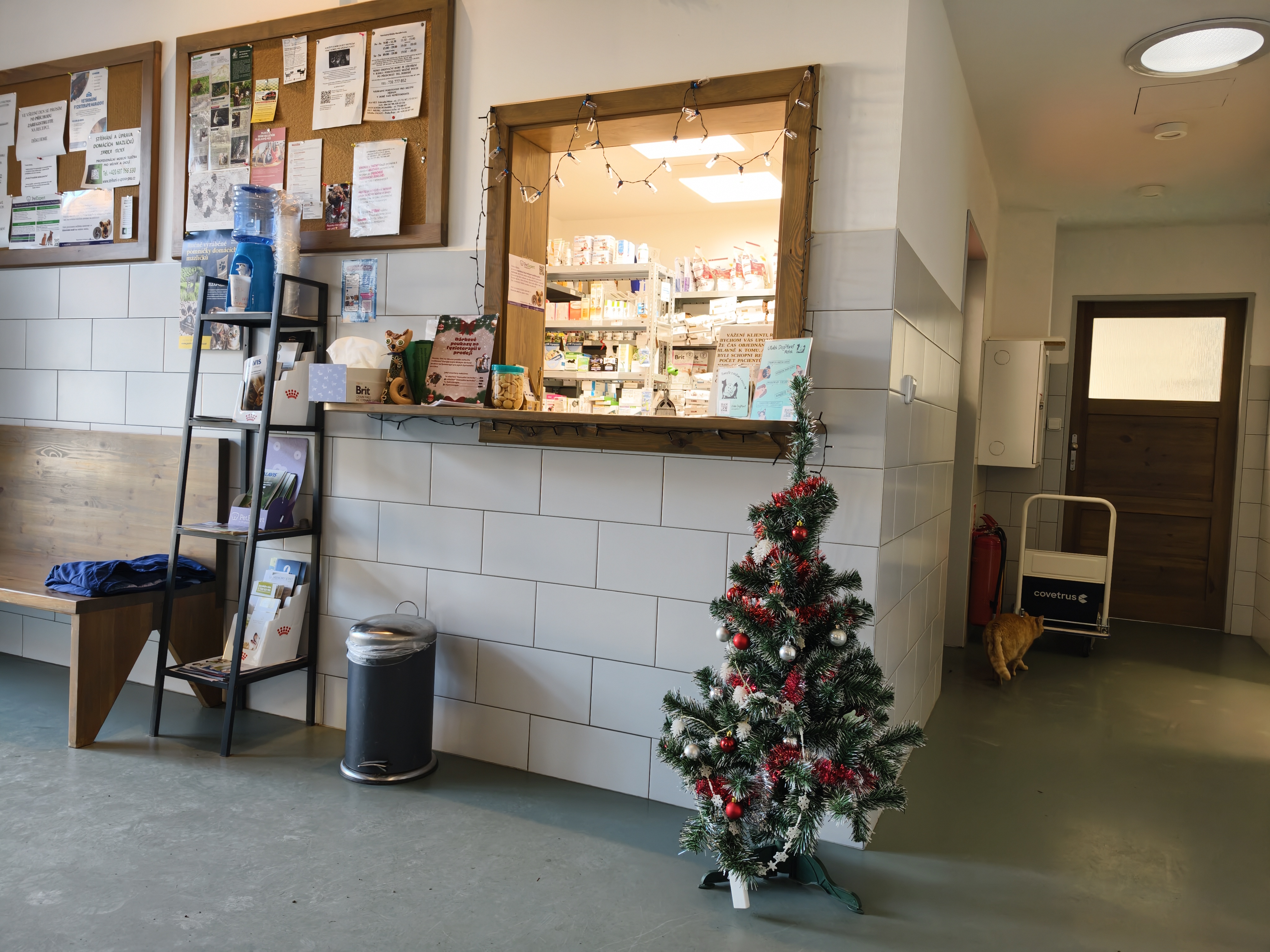 Veterinární klinika Maradovi foto 6