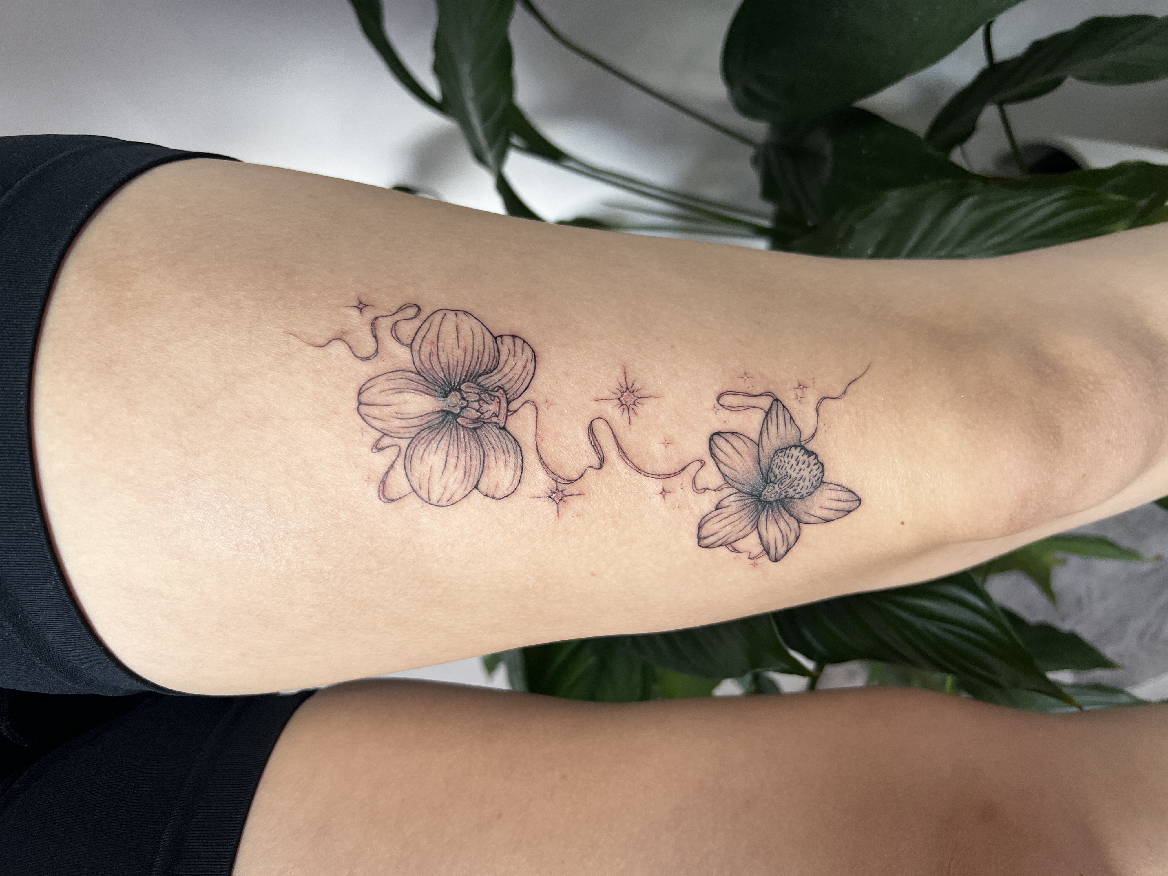 Peti Ink - tattoo studio foto 6