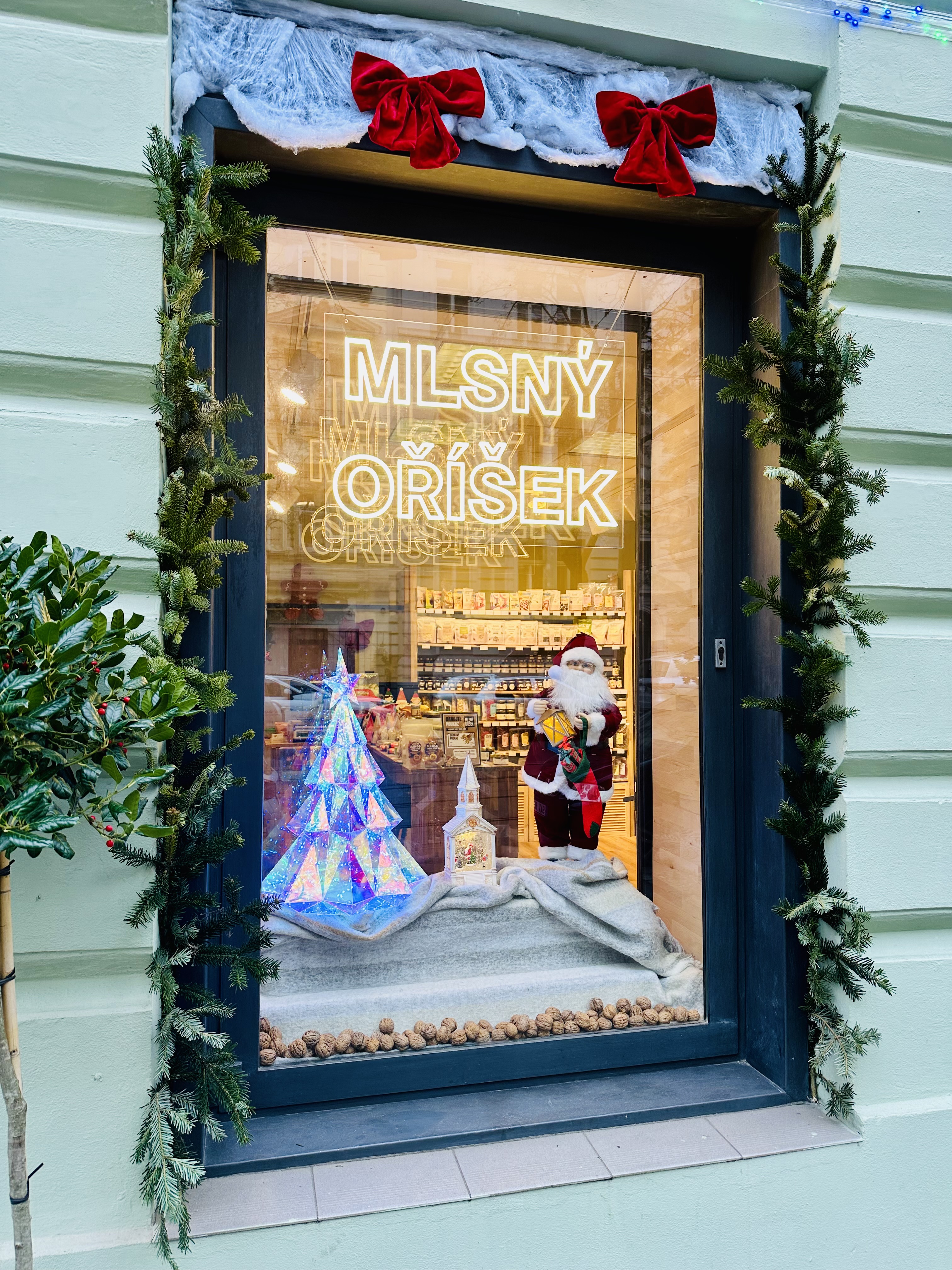 MLSNÝ OŘÍŠEK foto 3