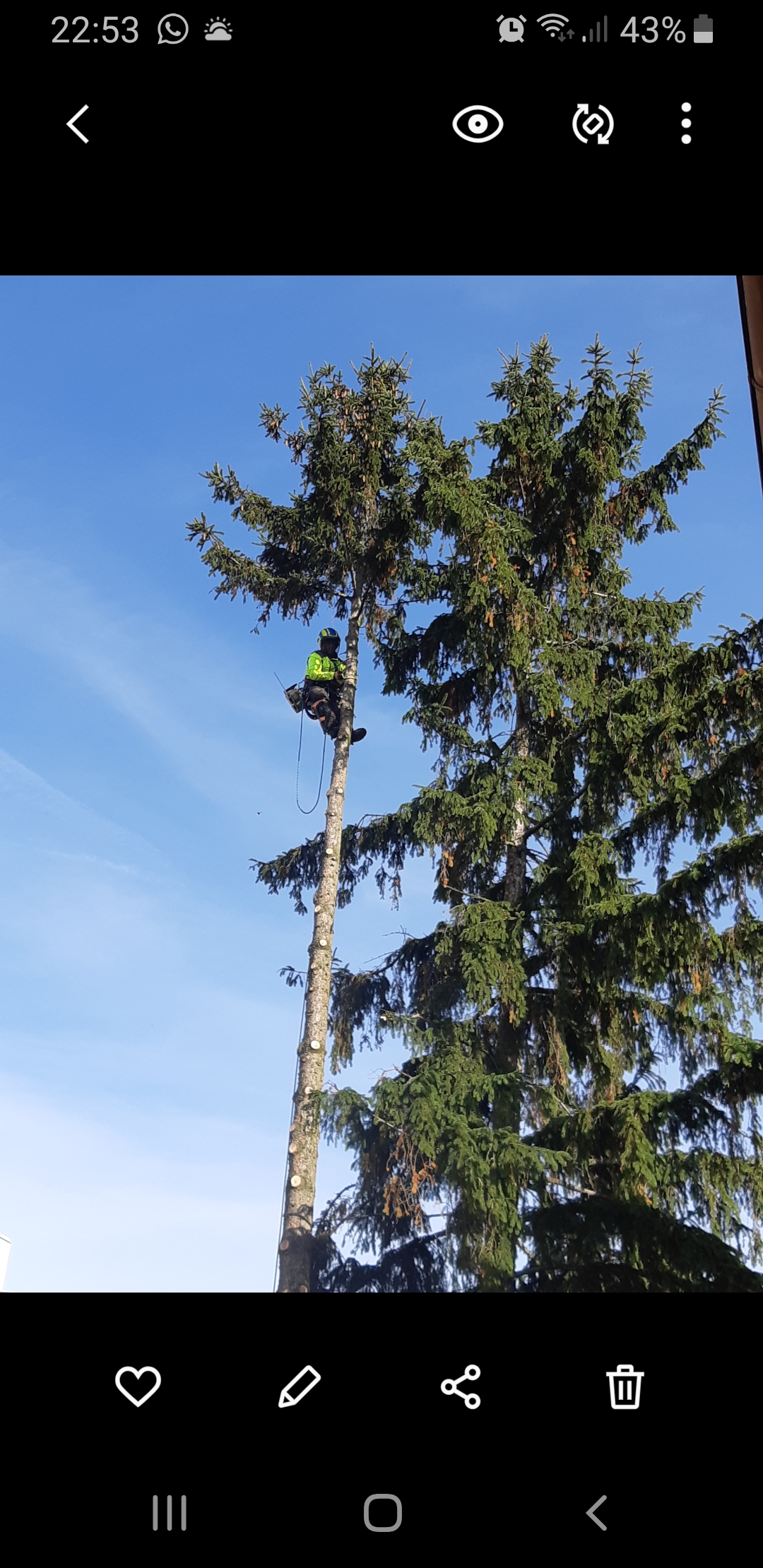 Tomáš Kopřiva - Arboristika a rizikové kácení foto 5