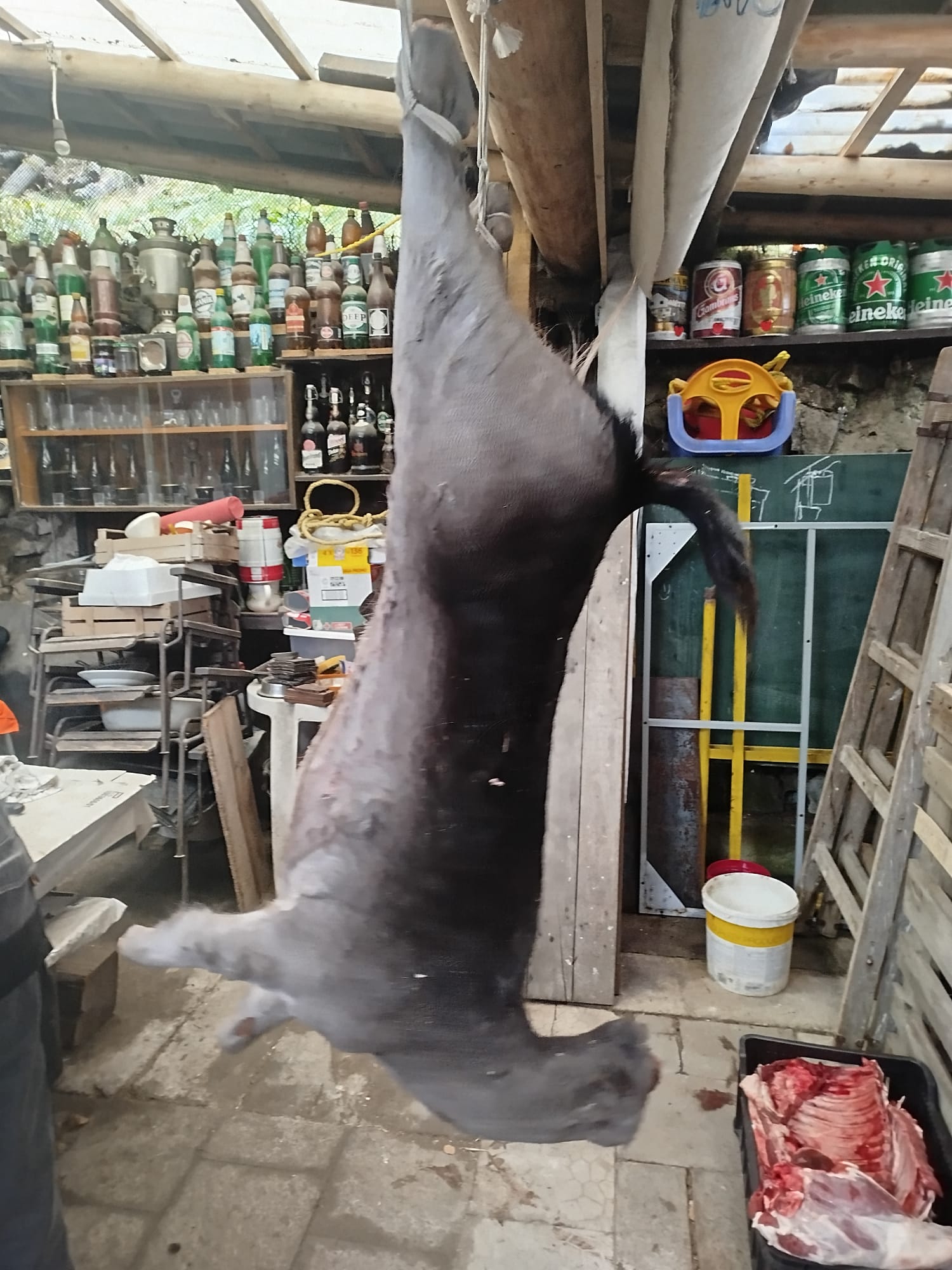 Lesní správa Náměšť nad Oslavou - Lesy České republiky foto 2