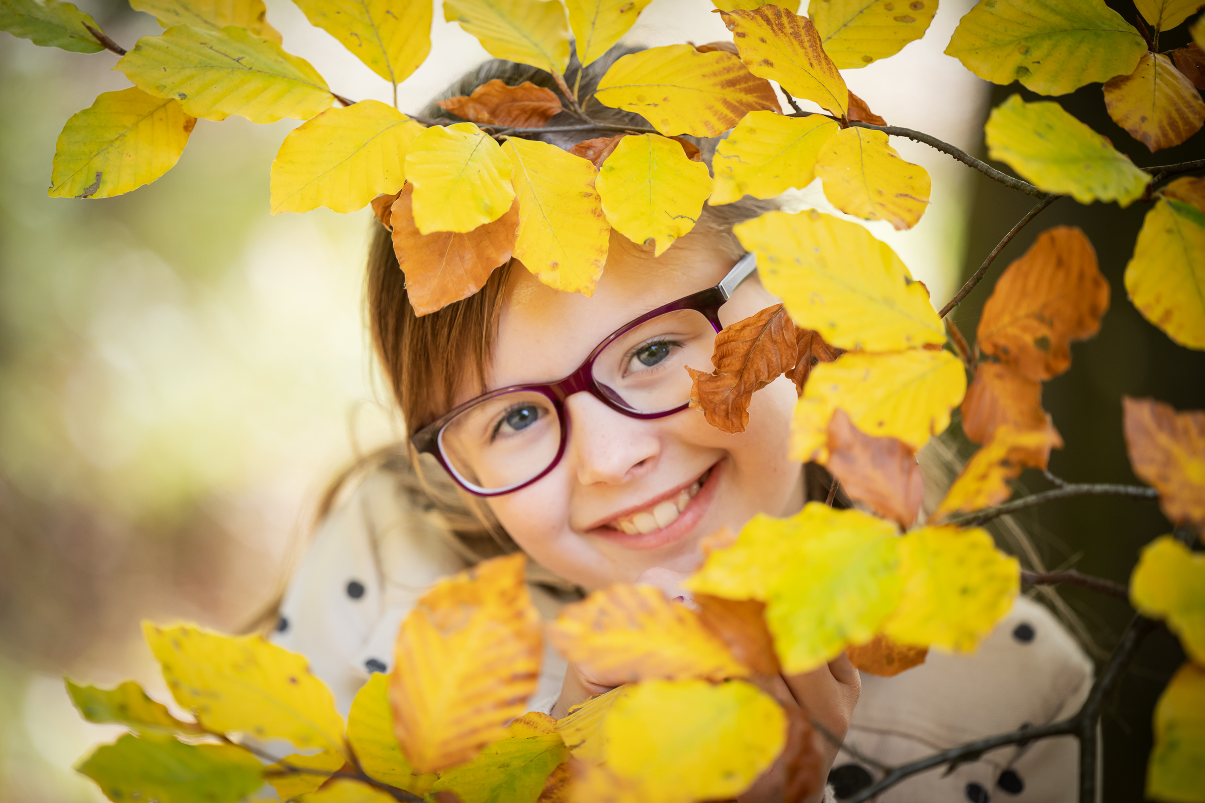 Jaroslav Fikota - fotocomplete foto 6