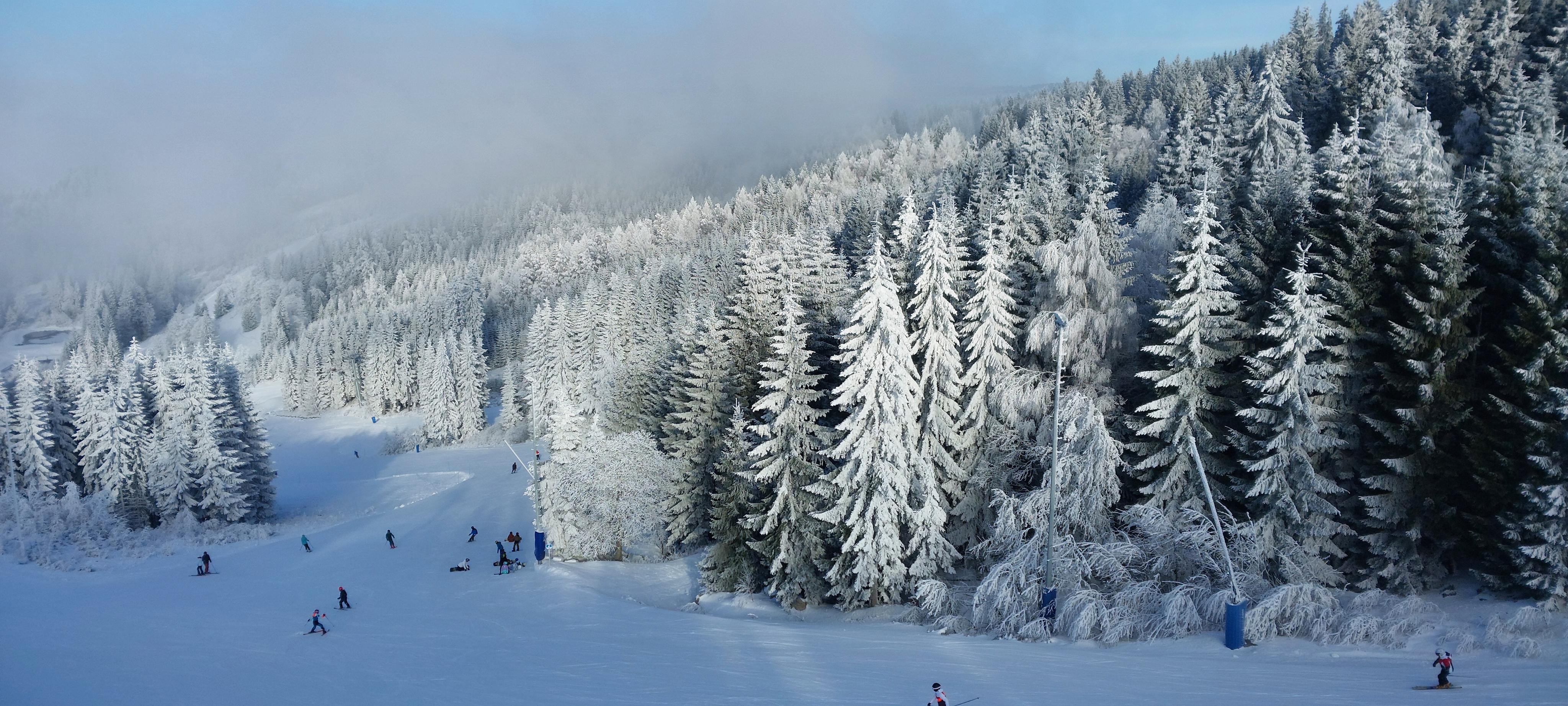 Skiareál Plešivec, Krušné hory foto 2