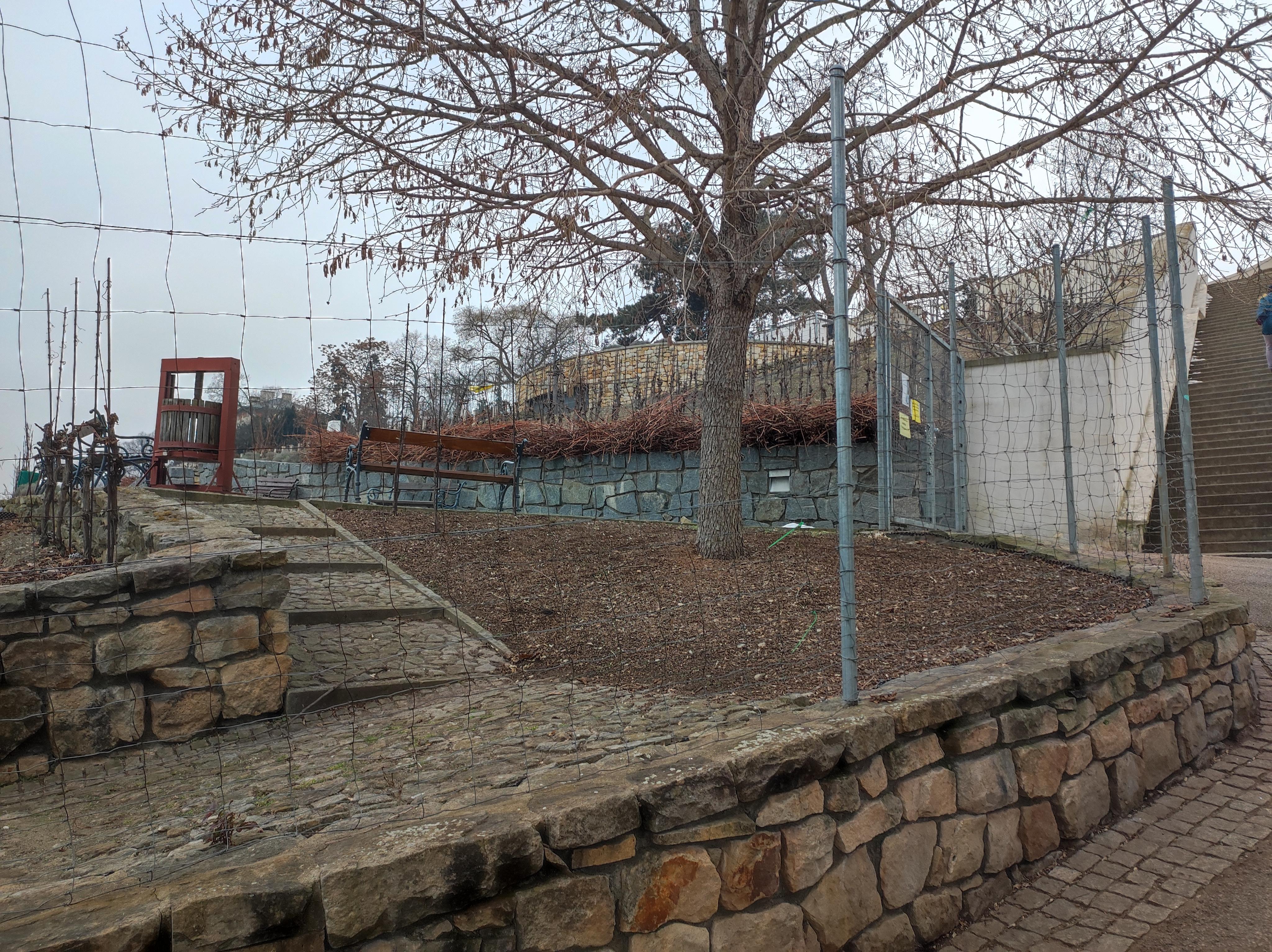 Sklep Grébovka foto 4