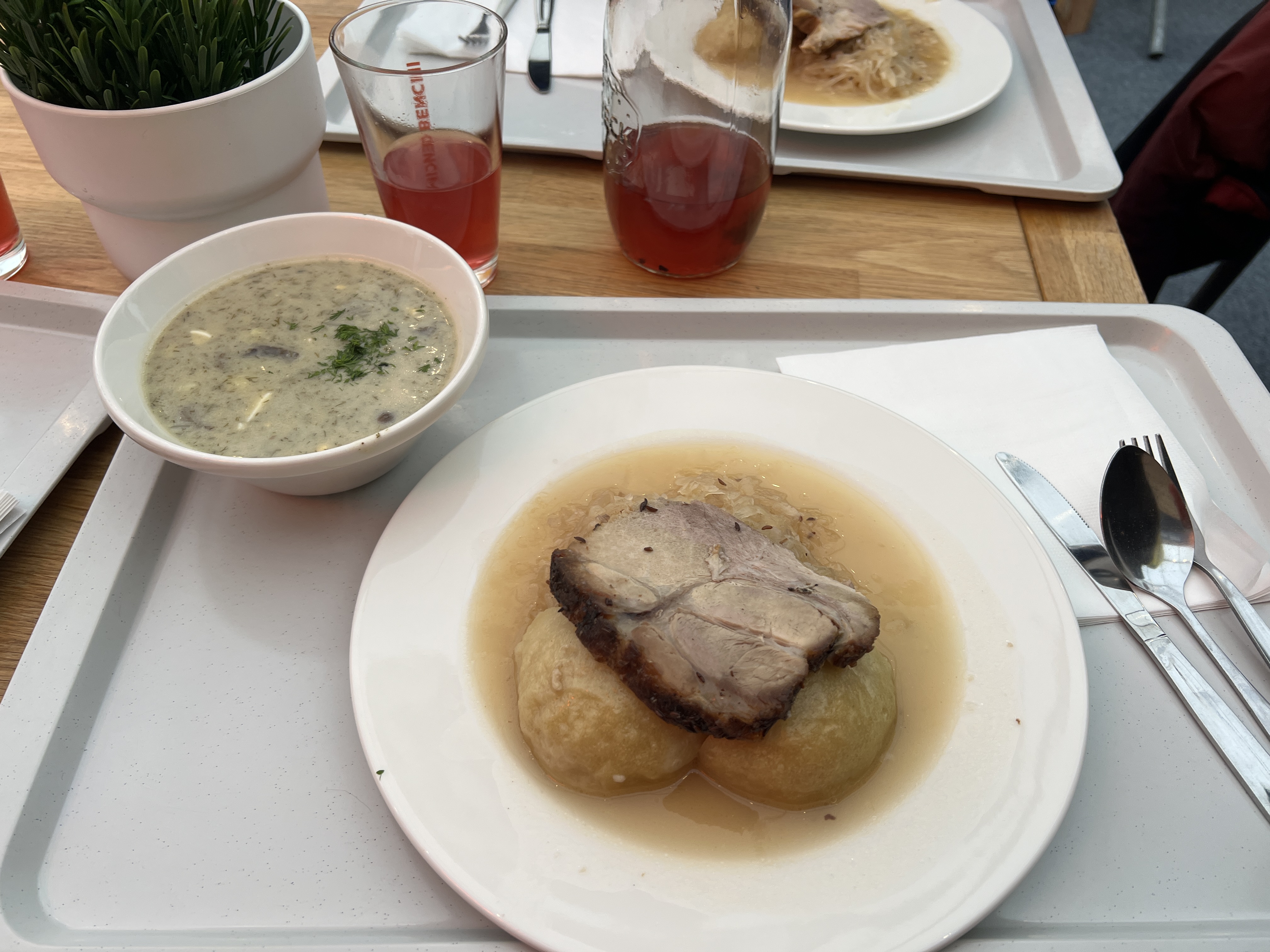 GASTROSTAN foto 5