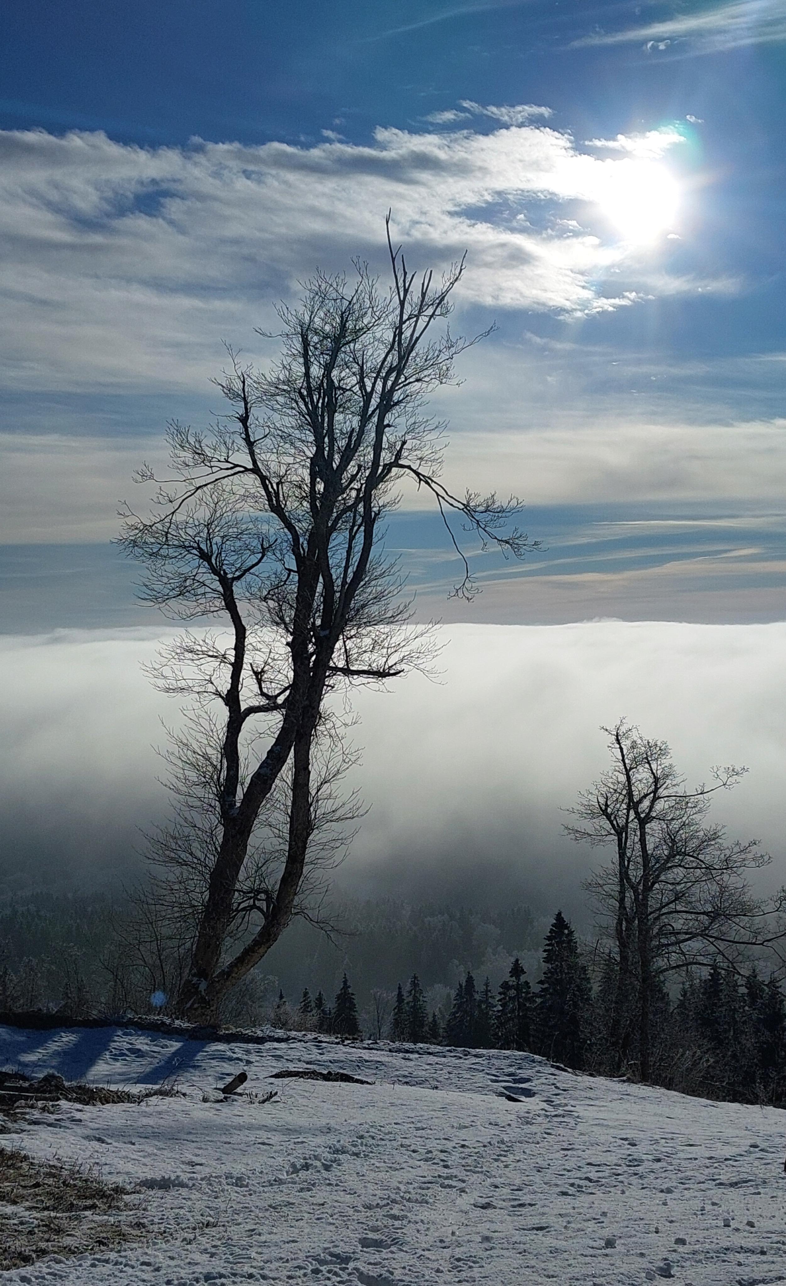 Skiareál Plešivec, Krušné hory foto 5