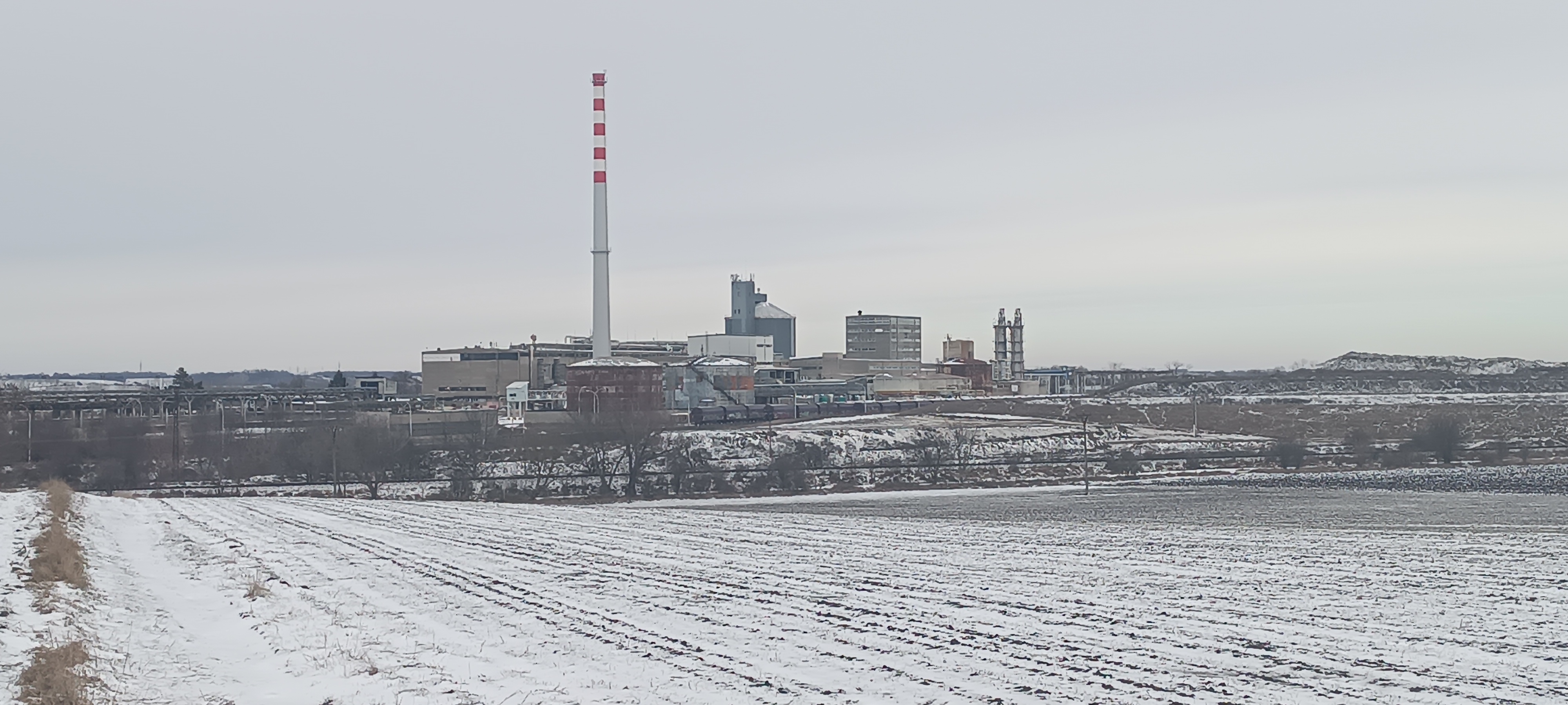 Moravskoslezské cukrovary, s.r.o. foto 3