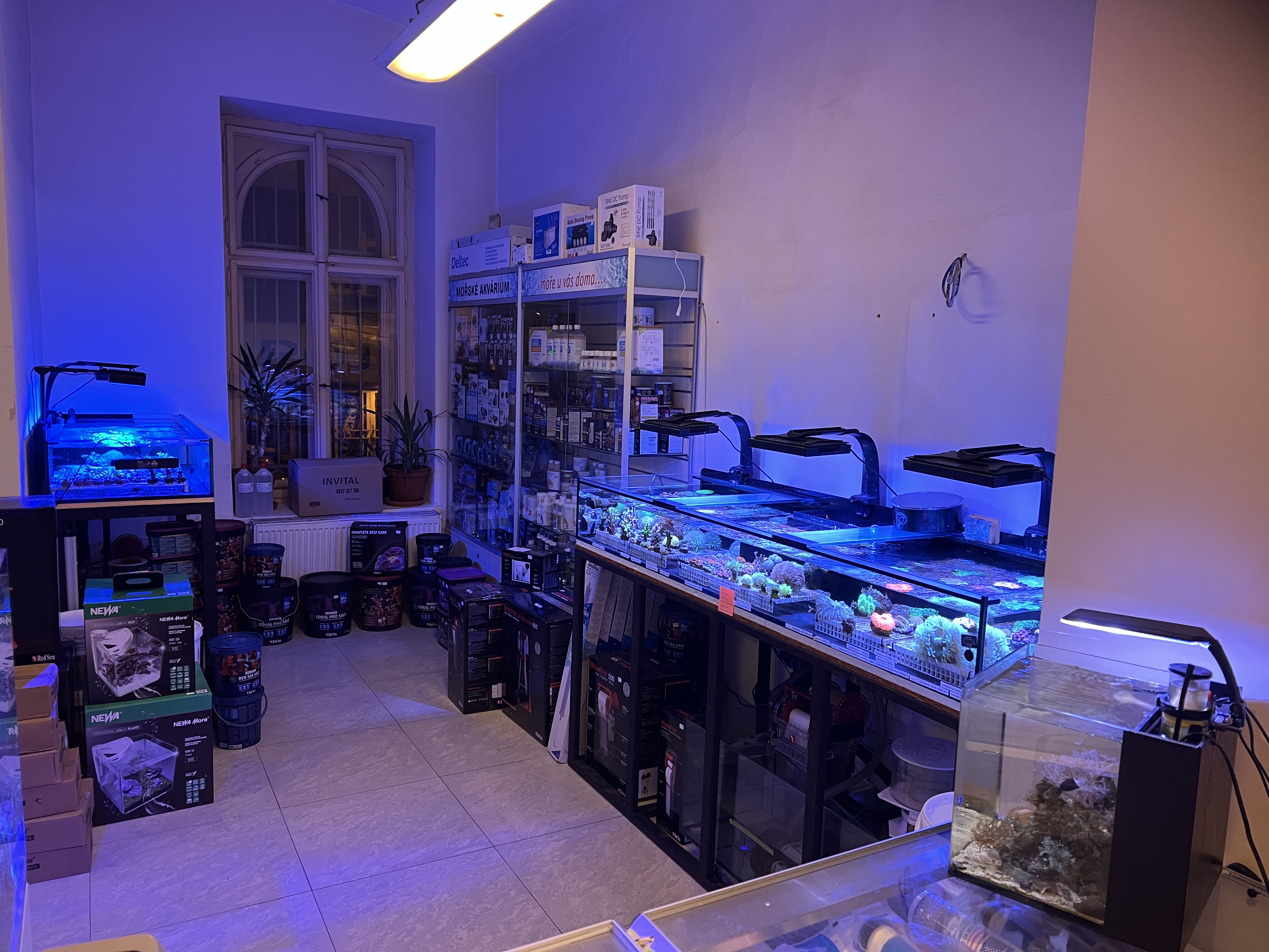 Morskeakvarium.cz foto 3