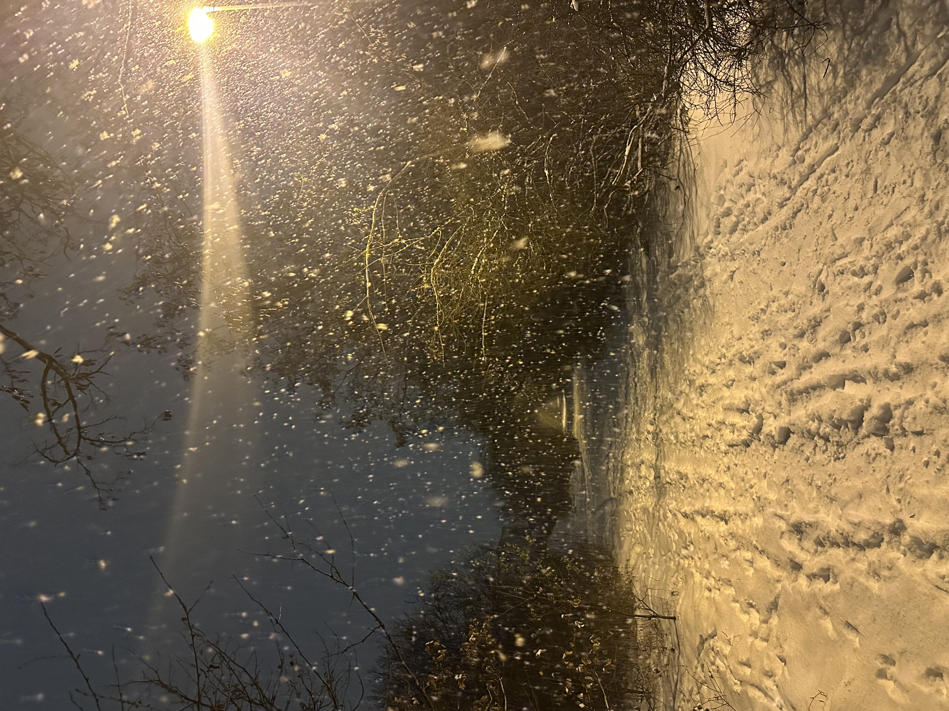 Klubová Hospůdka Na Cibulkách foto 4