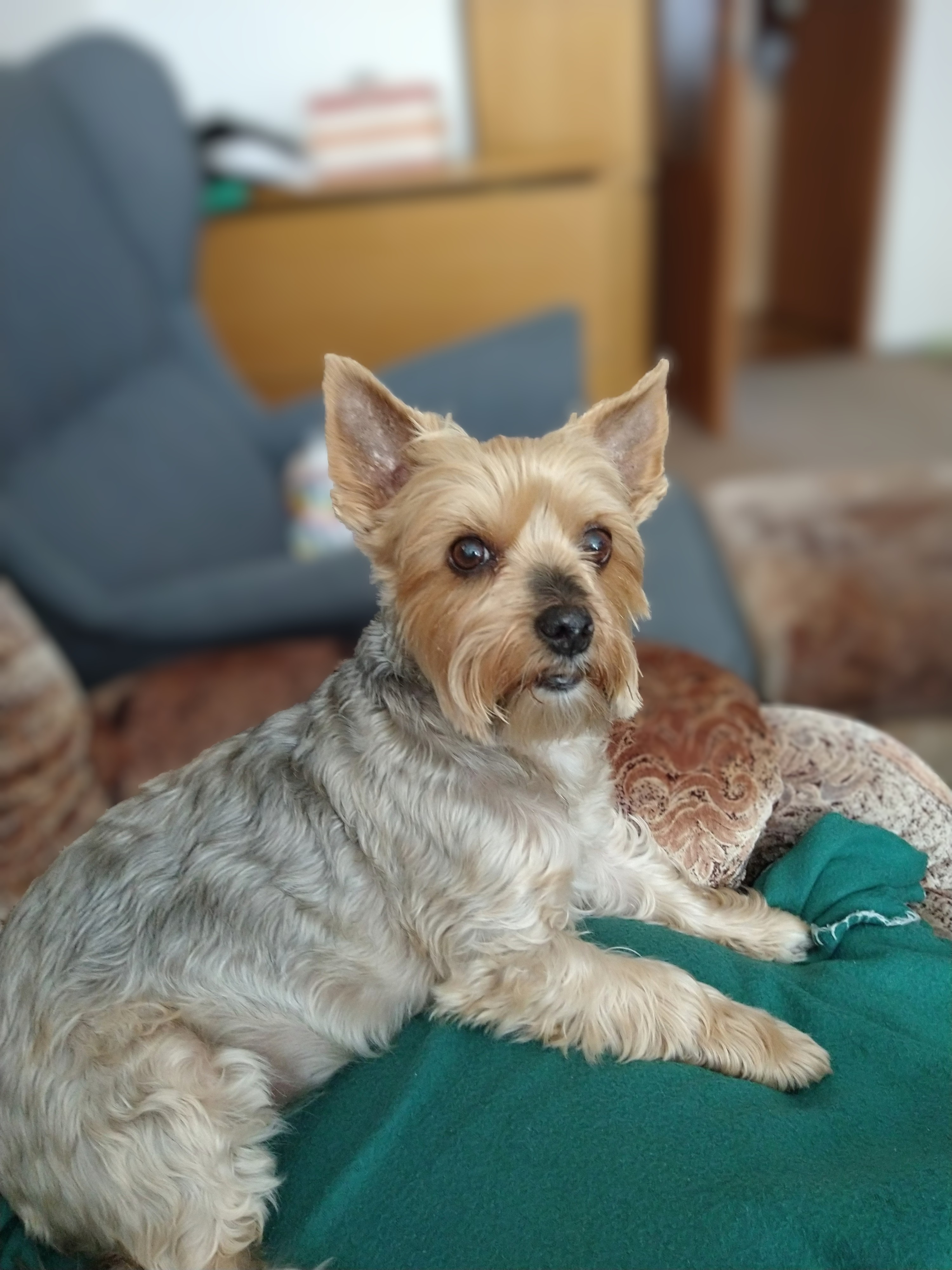 Zdravotní masáže - Jana Červinková foto 3