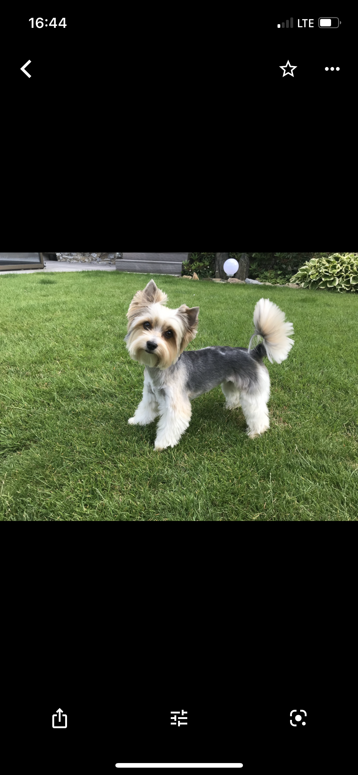 Colonnade Insurance S.A., organizační složka foto 2